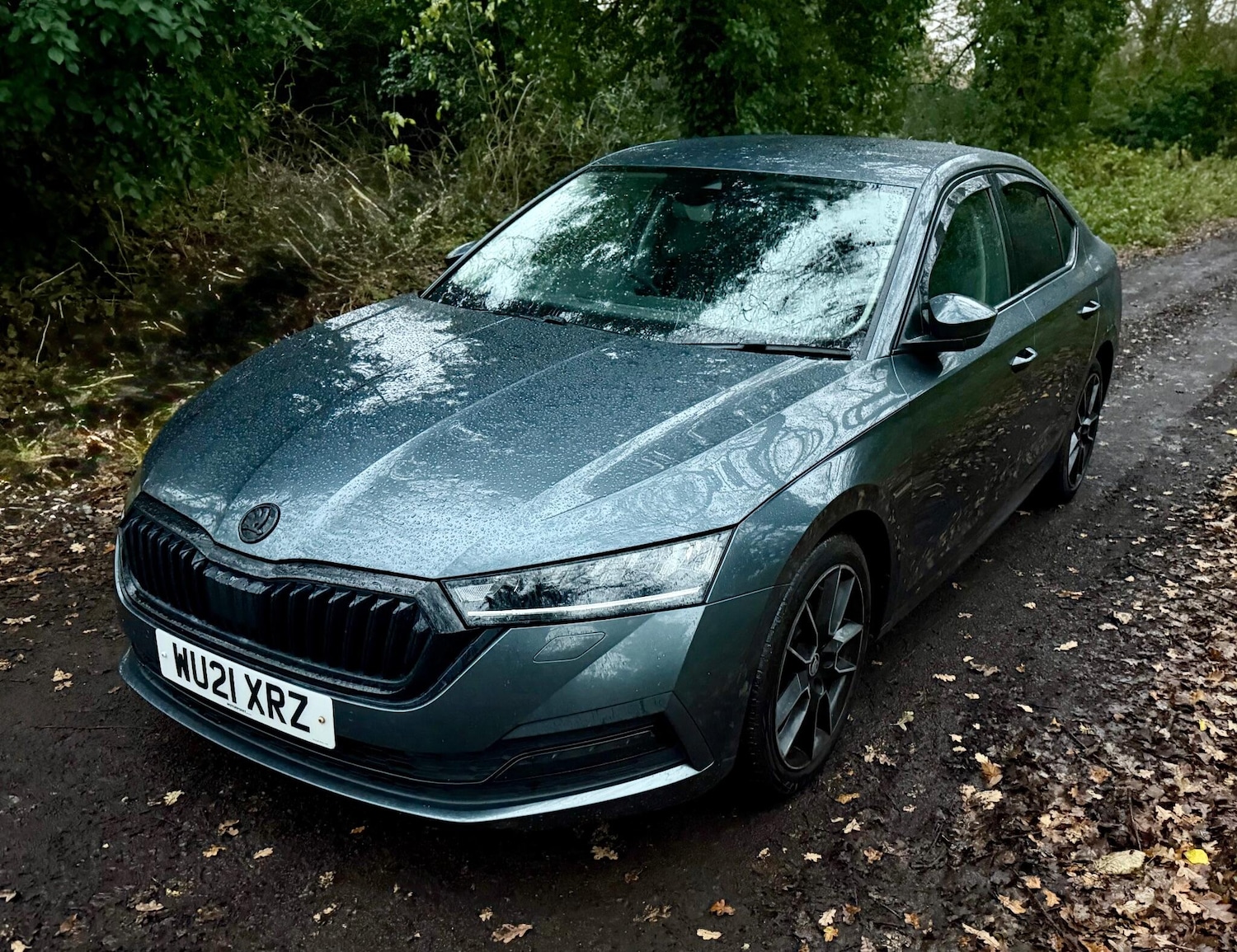 Used Skoda Octavia 2021 for sale - 76839826: Photo 15