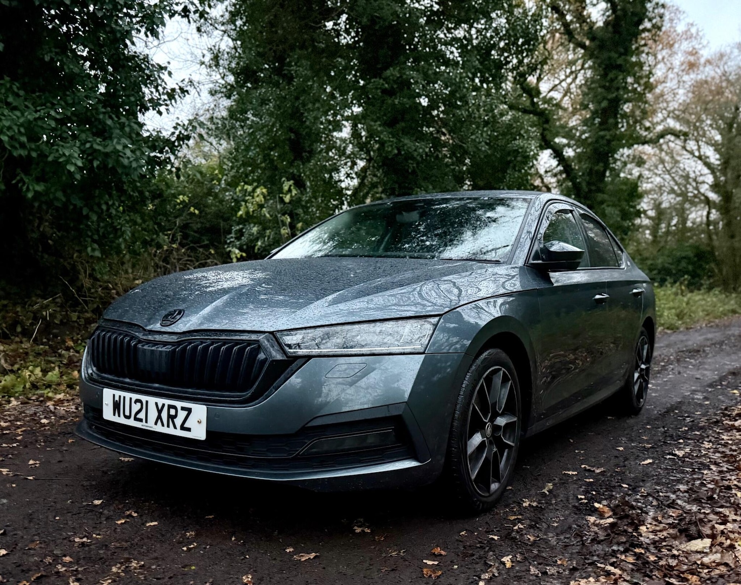 Used Skoda Octavia 2021 for sale - 76839826: Photo 16