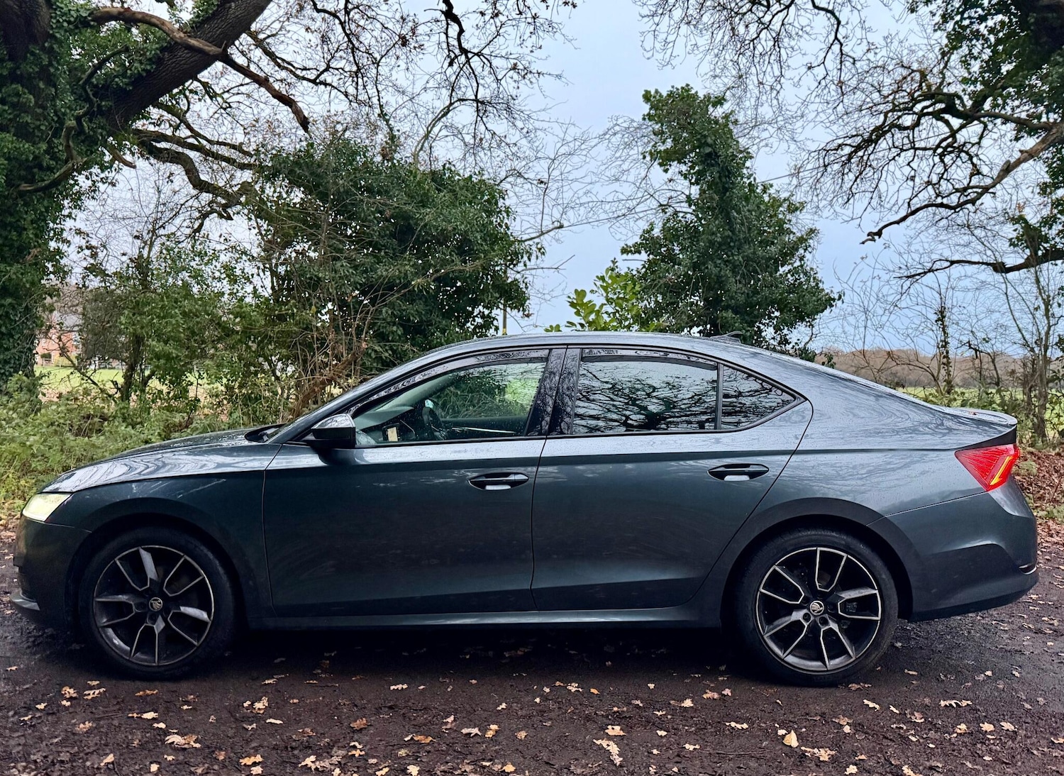 Used Skoda Octavia 2021 for sale - 76839826: Photo 17