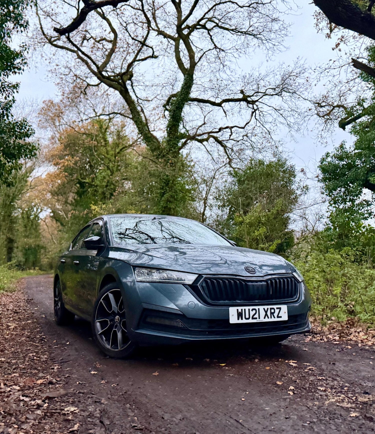 Used Skoda Octavia 2021 for sale - 76839826: Photo 2