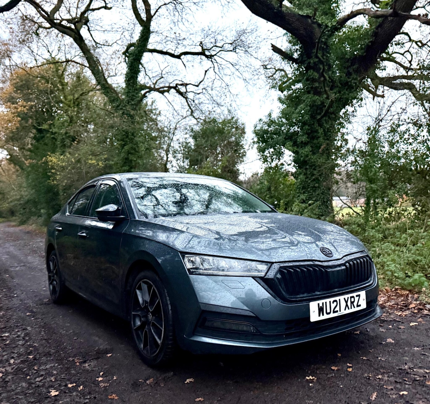 Used Skoda Octavia 2021 for sale - 76839826: Photo 3