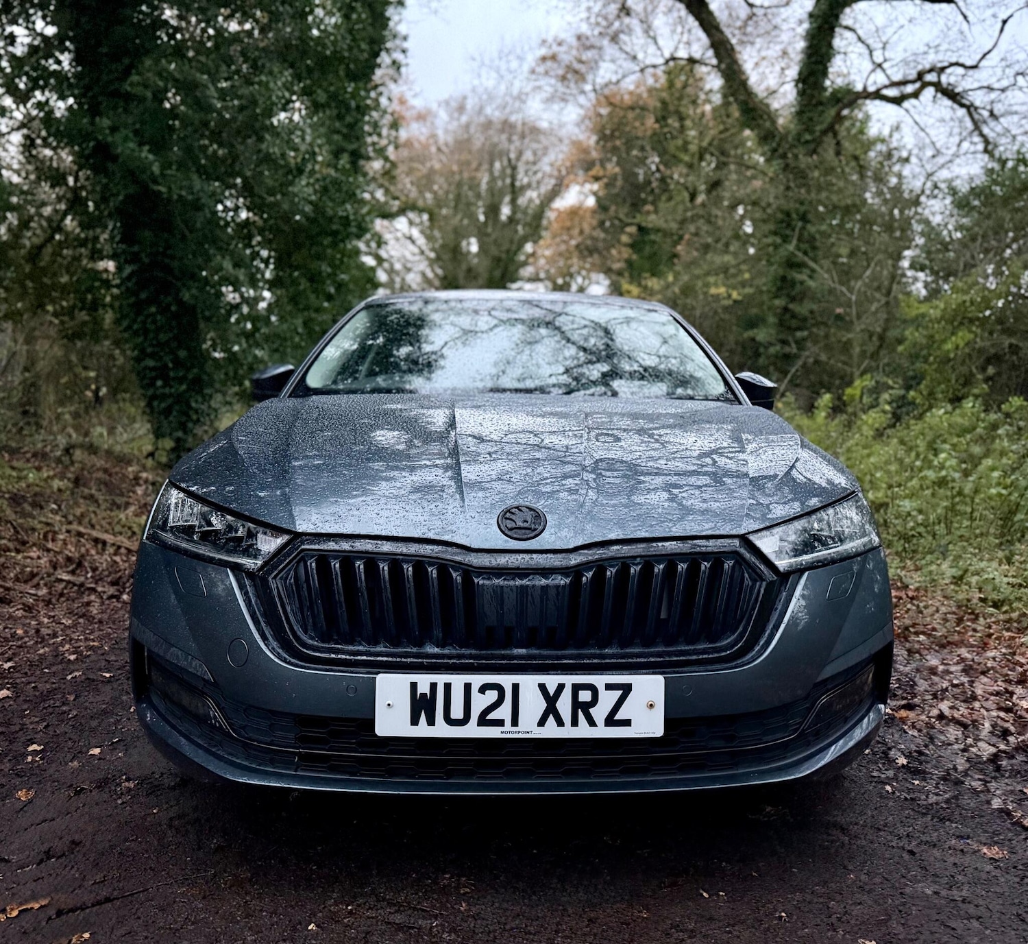 Used Skoda Octavia 2021 for sale - 76839826: Photo 4