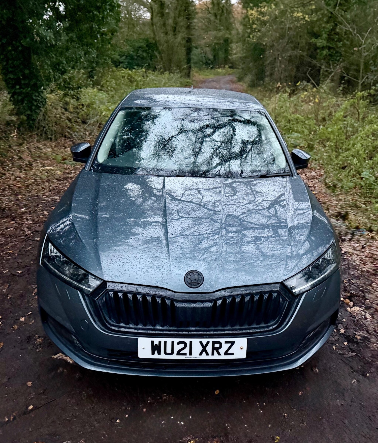 Used Skoda Octavia 2021 for sale - 76839826: Photo 5