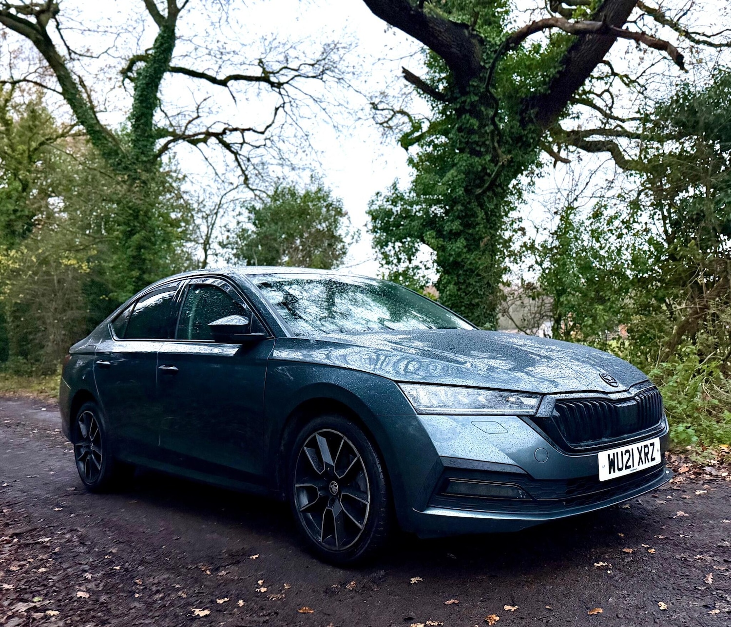 Used Skoda Octavia 2021 for sale - 76839826: Photo 6