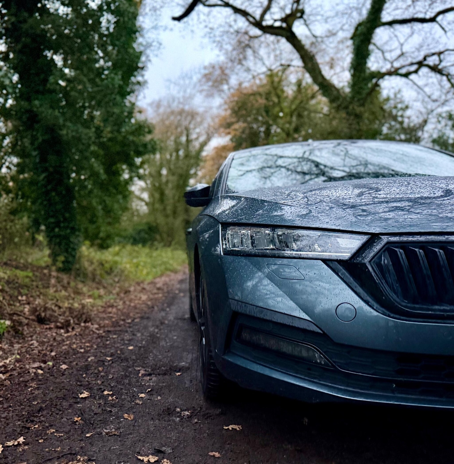 Used Skoda Octavia 2021 for sale - 76839826: Photo 7