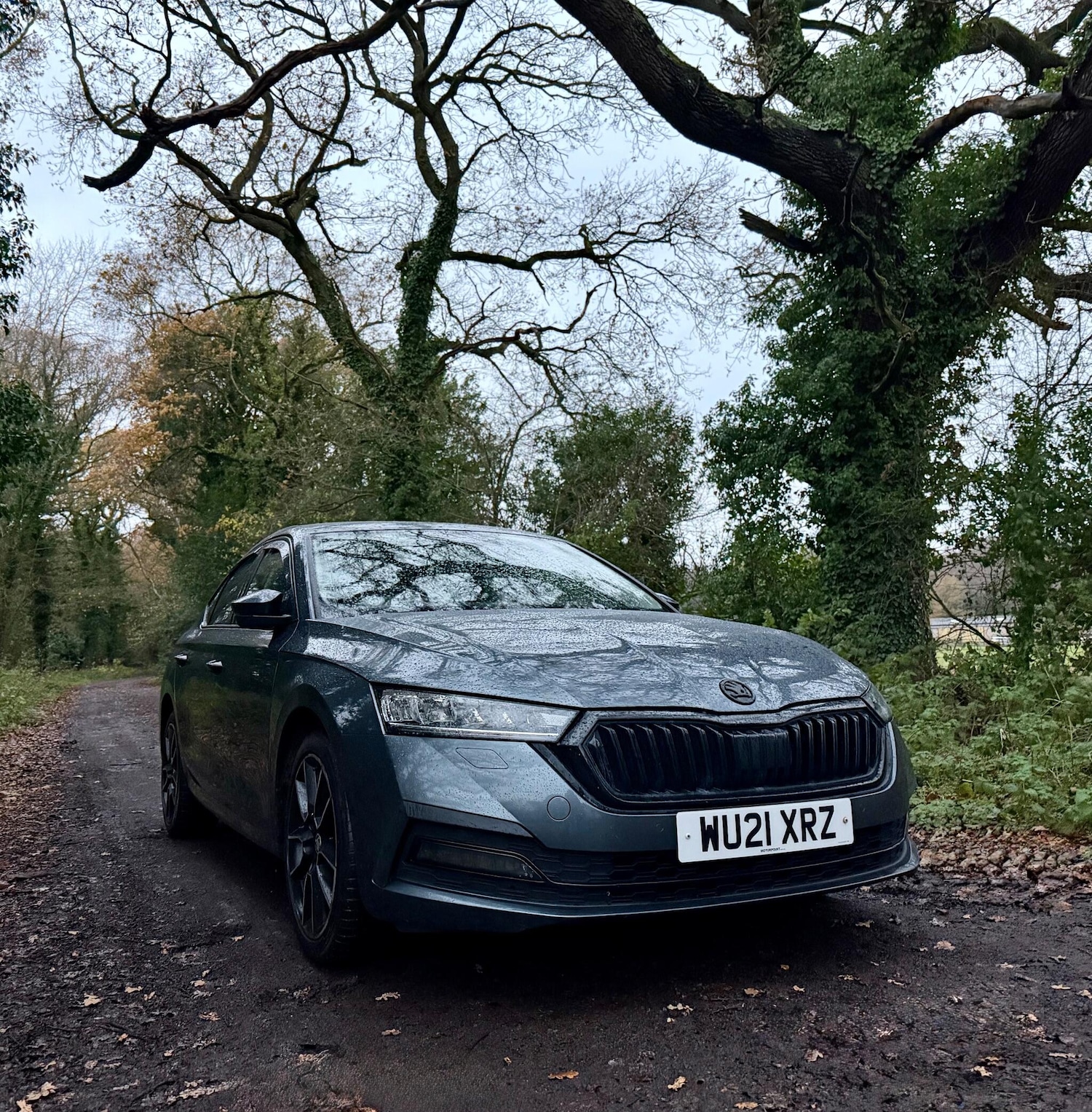 Used Skoda Octavia 2021 for sale - 76839826: Photo 8