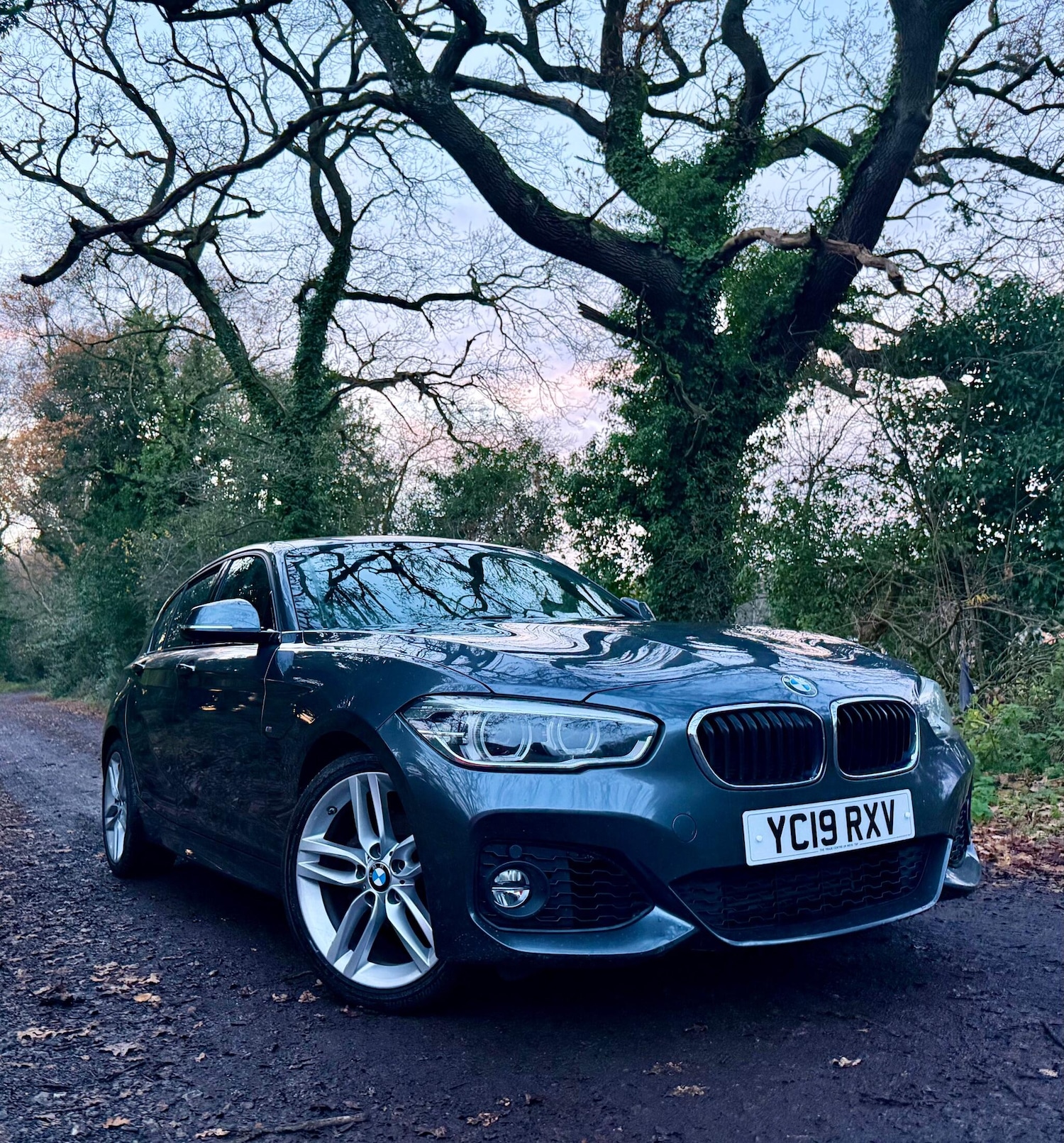 Used BMW 1 Series 2019 for sale - 76866193: Photo 1