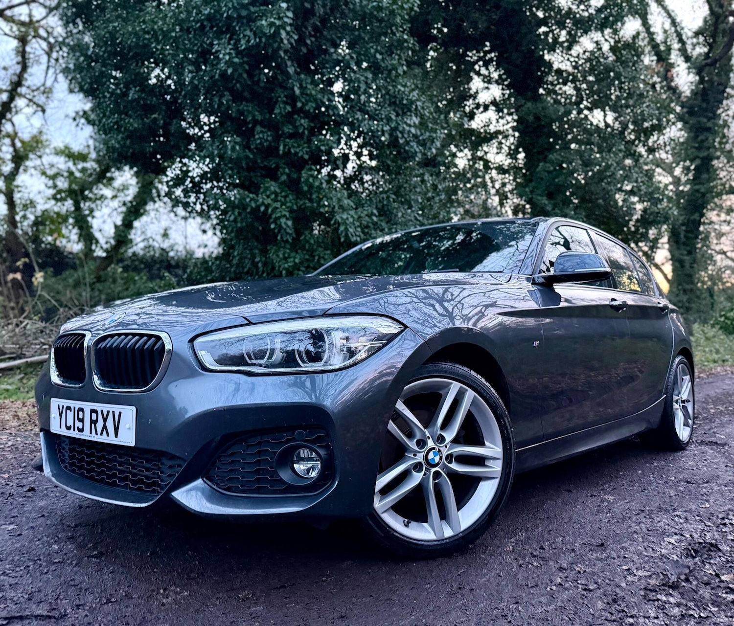 Used BMW 1 Series 2019 for sale - 76866193: Photo 10