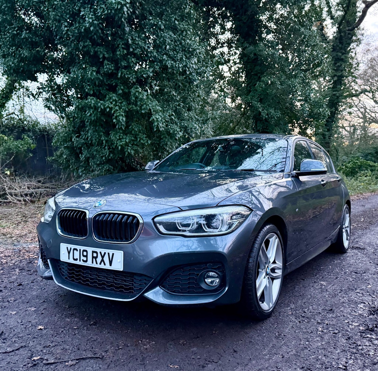 Used BMW 1 Series 2019 for sale - 76866193: Photo 11