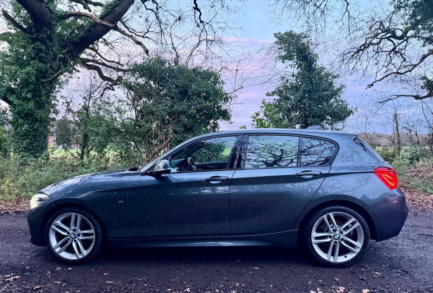 Used BMW 1 Series 2019 for sale - 76866193: Photo 12