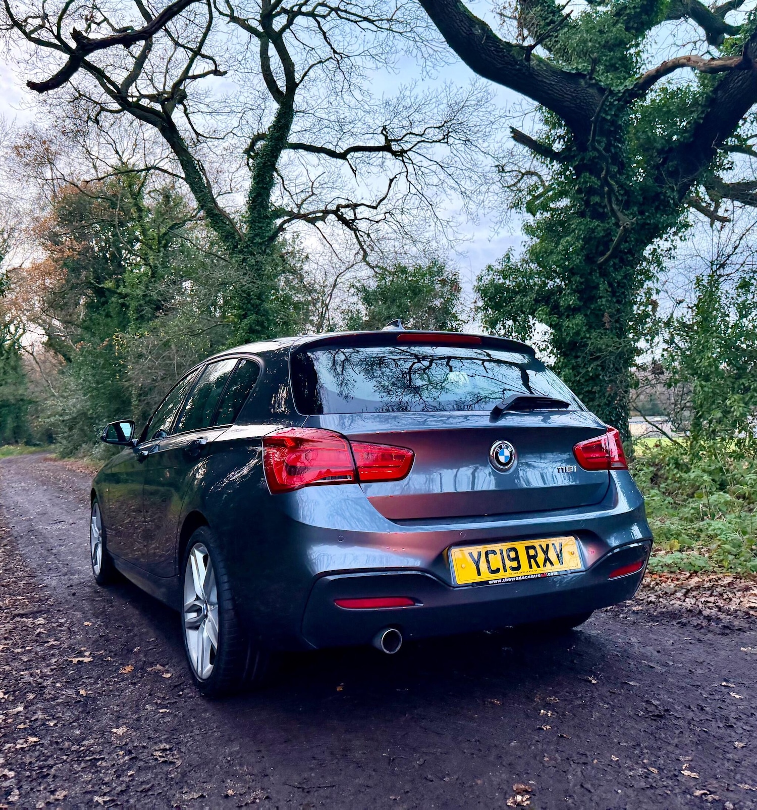 Used BMW 1 Series 2019 for sale - 76866193: Photo 13