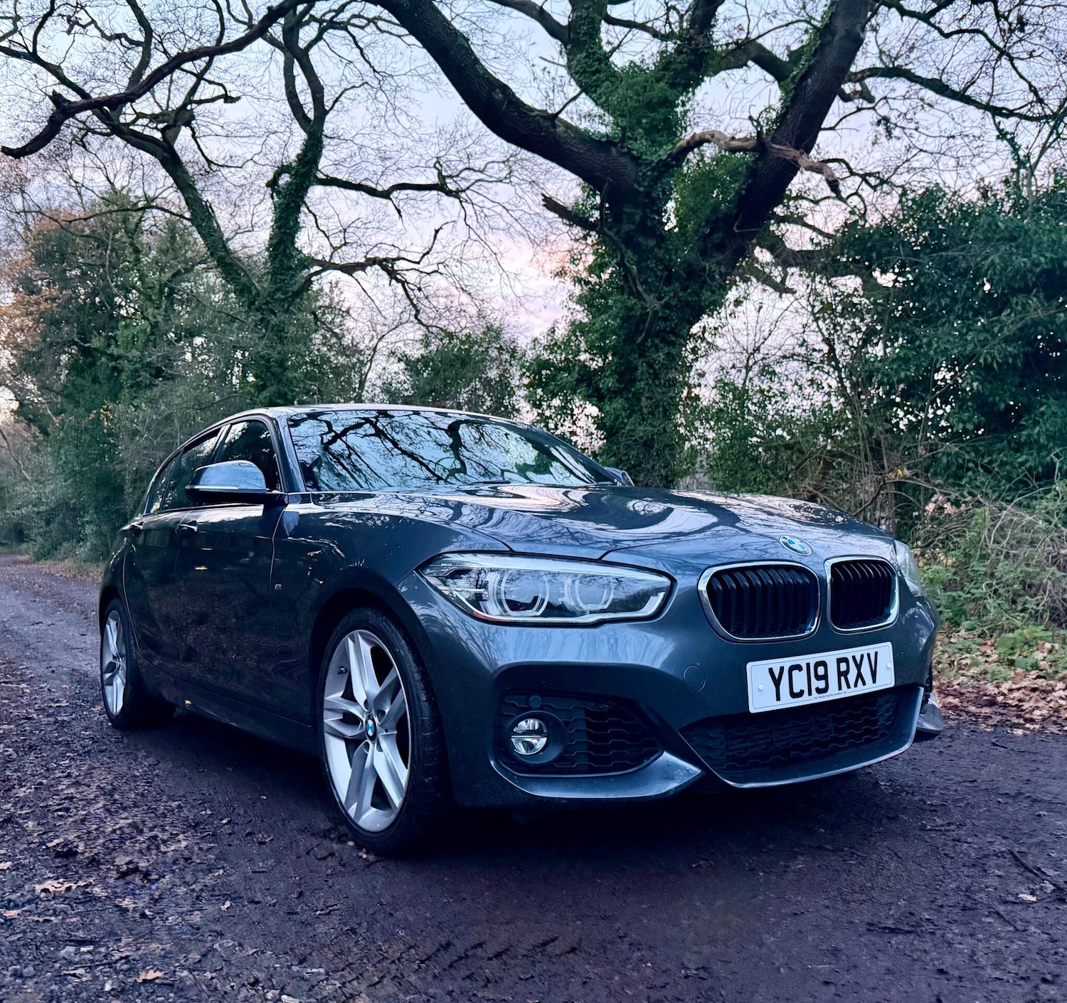 Used BMW 1 Series 2019 for sale - 76866193: Photo 2