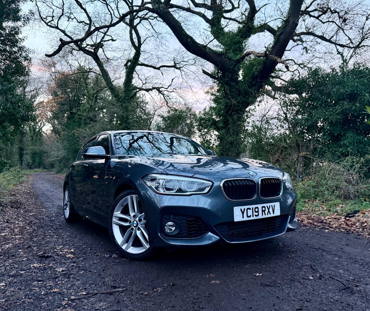 Used BMW 1 Series 2019 for sale - 76866193: Photo 21