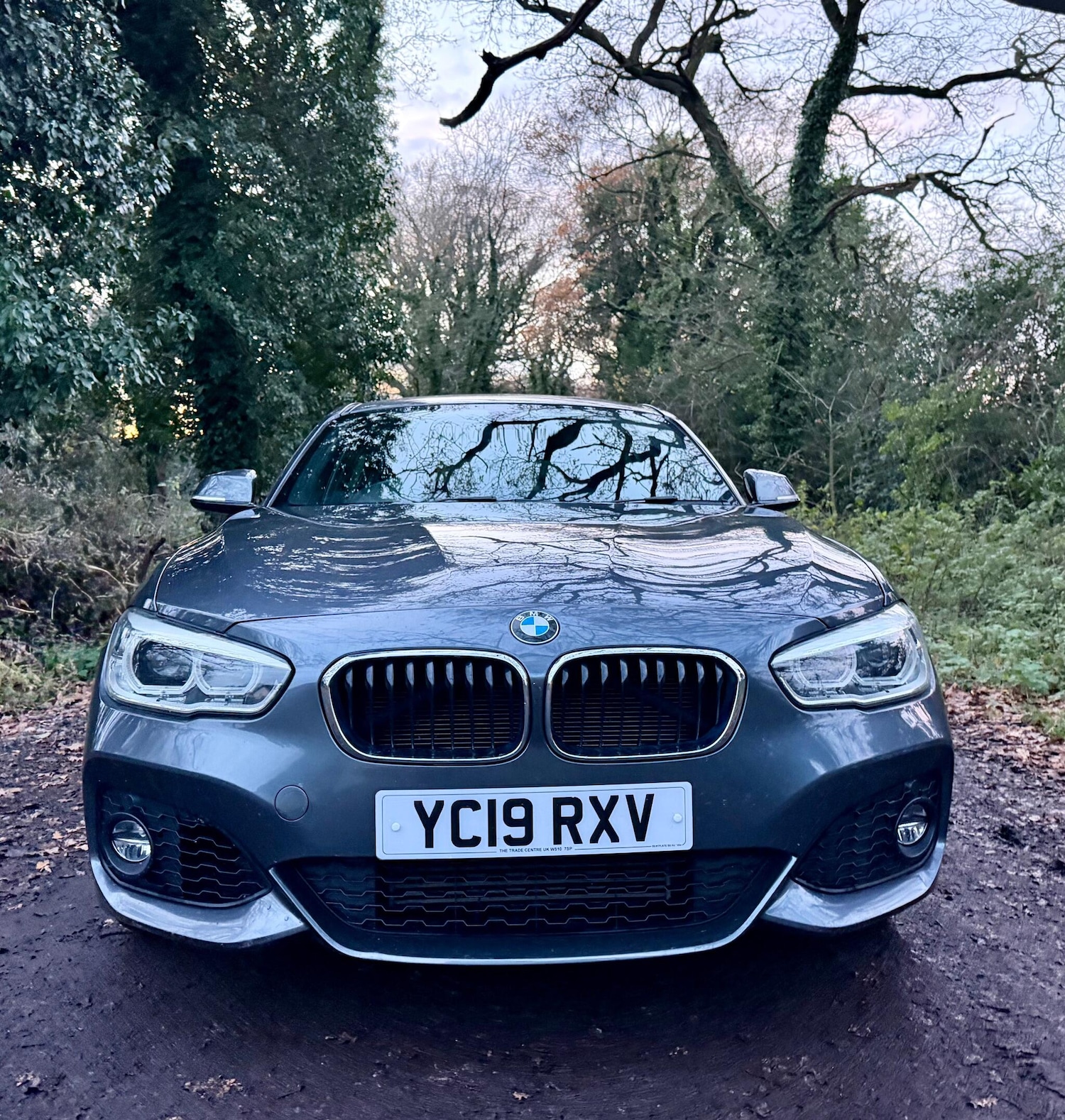 Used BMW 1 Series 2019 for sale - 76866193: Photo 3