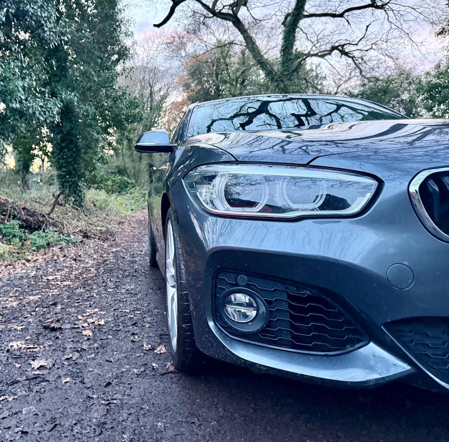 Used BMW 1 Series 2019 for sale - 76866193: Photo 4