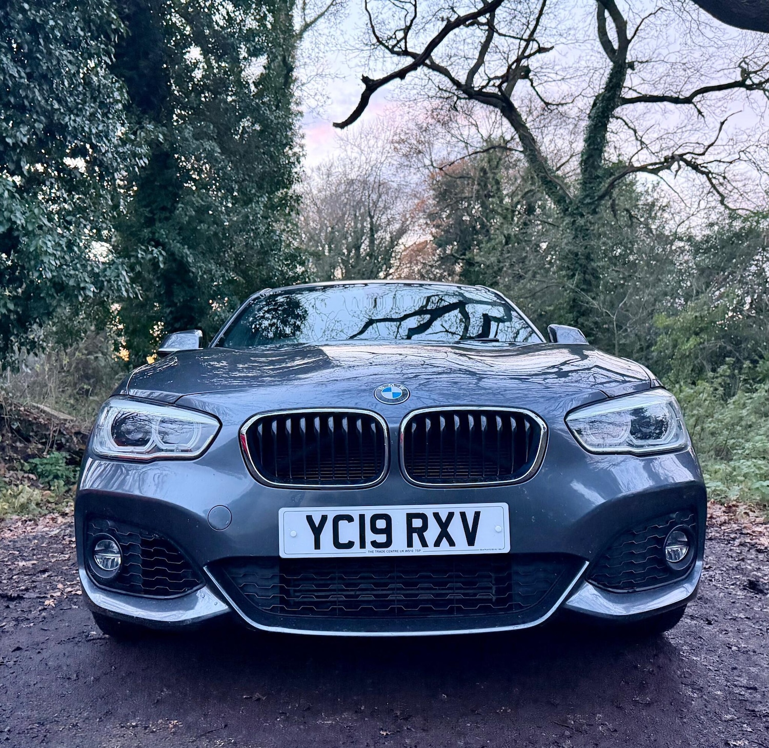 Used BMW 1 Series 2019 for sale - 76866193: Photo 6