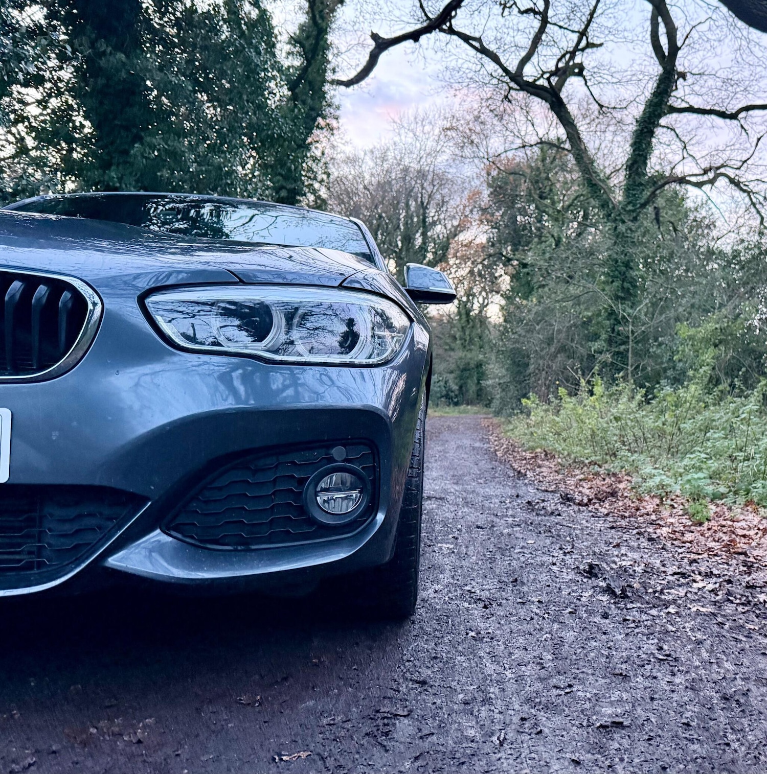 Used BMW 1 Series 2019 for sale - 76866193: Photo 7