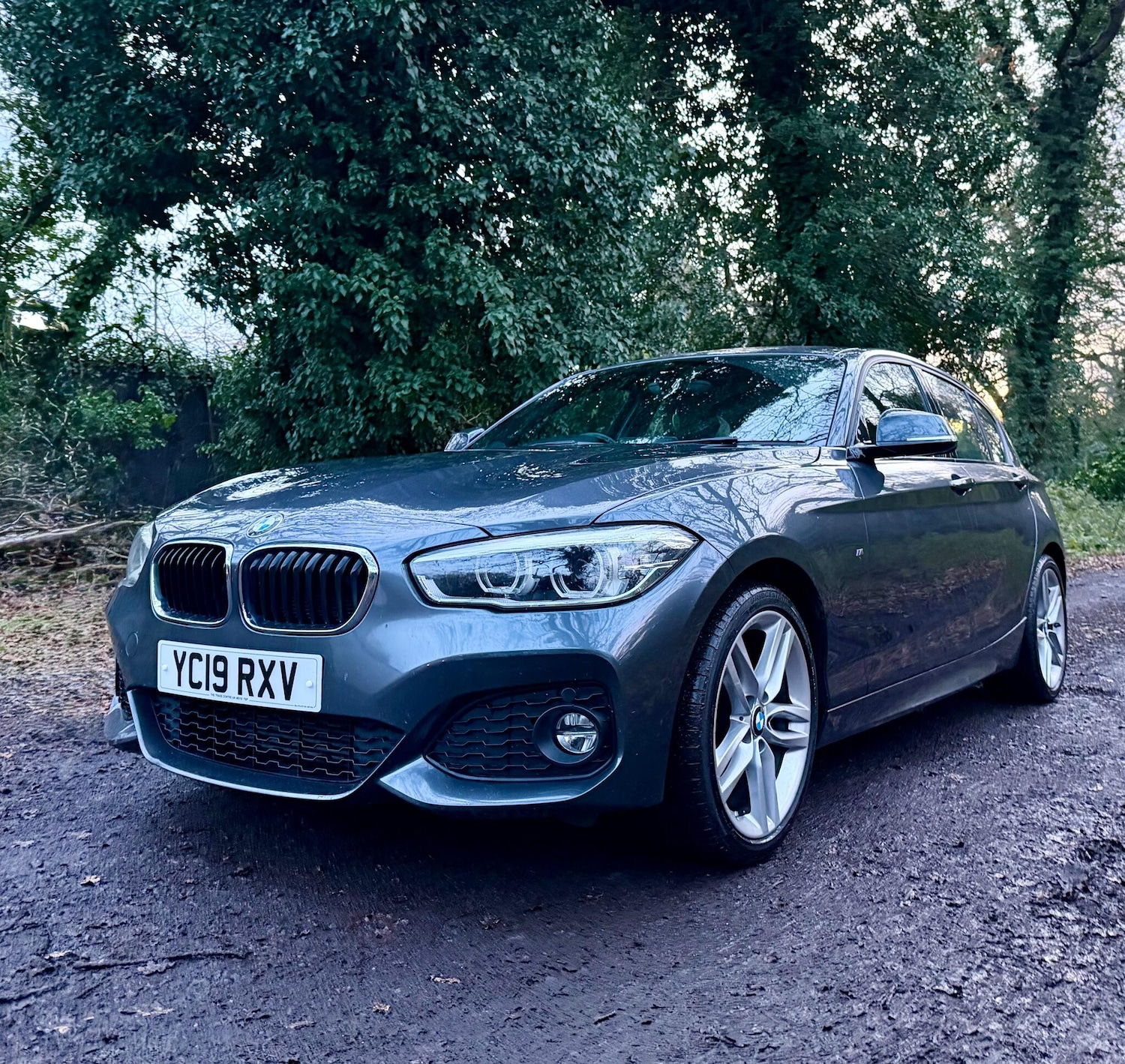 Used BMW 1 Series 2019 for sale - 76866193: Photo 8