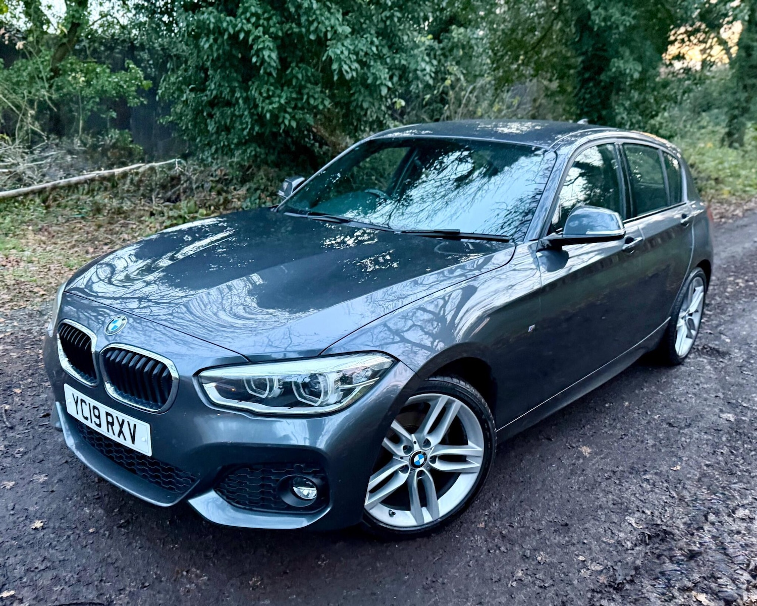 Used BMW 1 Series 2019 for sale - 76866193: Photo 9
