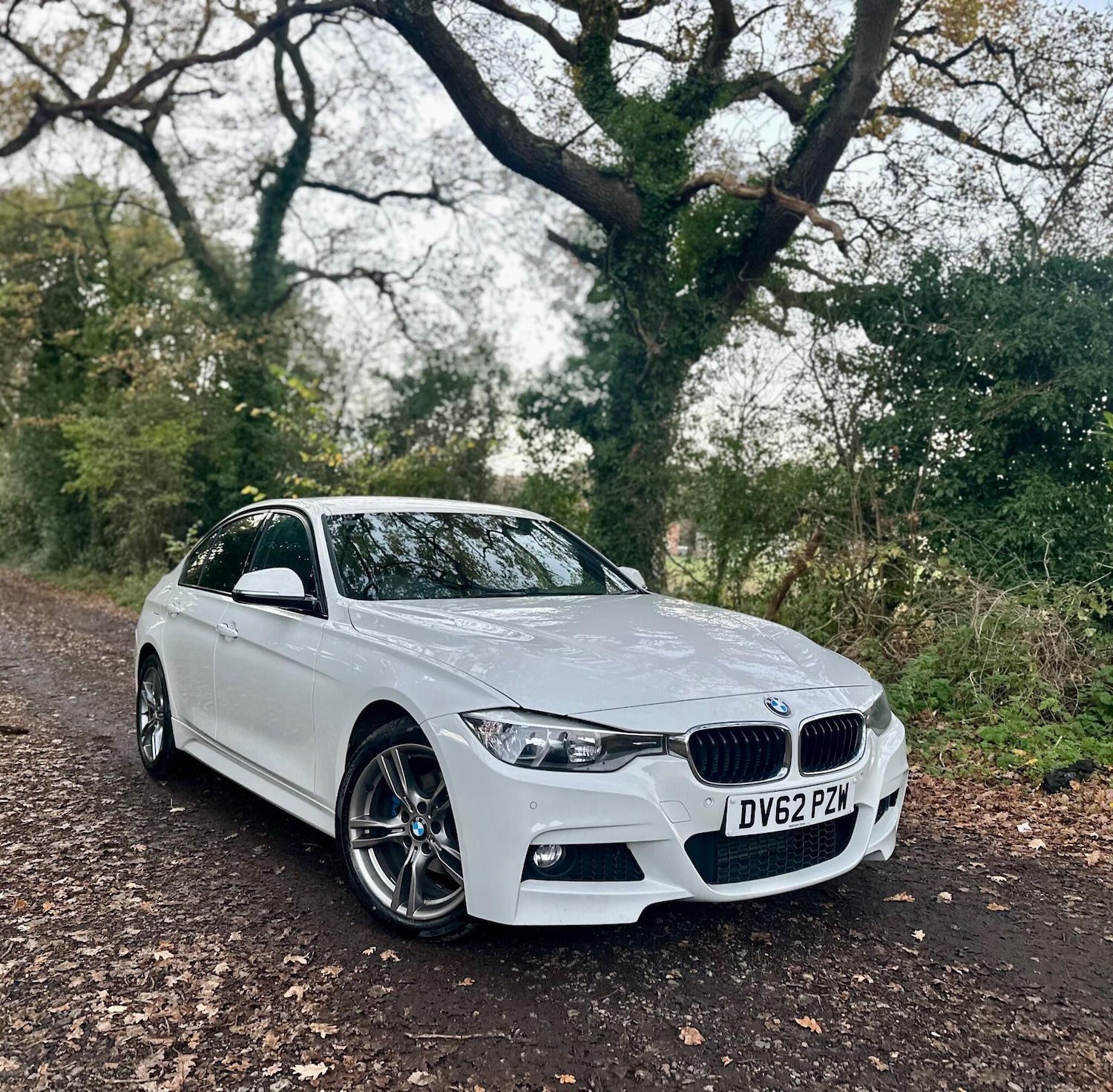 Used BMW 3 Series 2012 for sale - 76633661: Photo 1