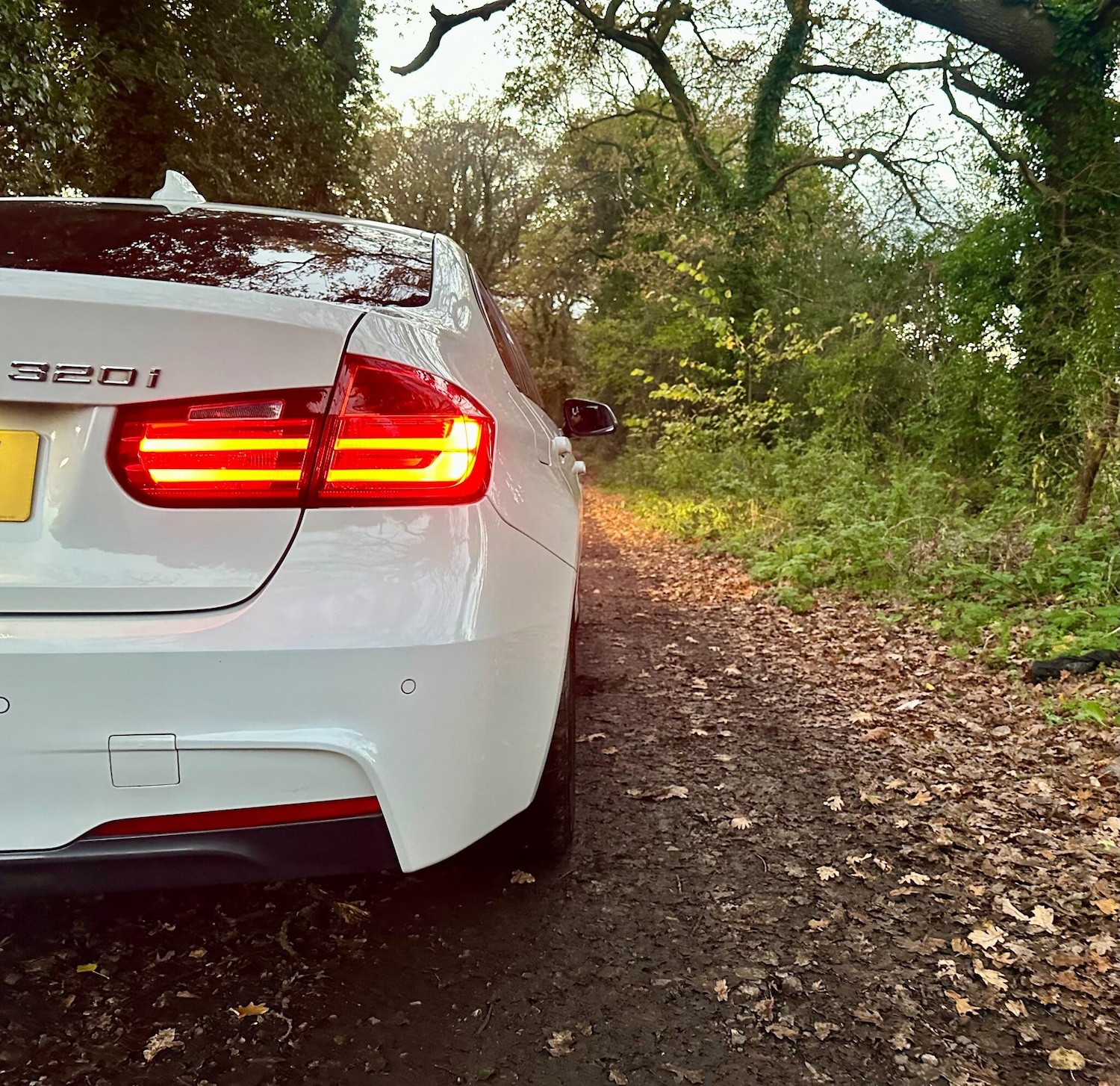 Used BMW 3 Series 2012 for sale - 76633661: Photo 15