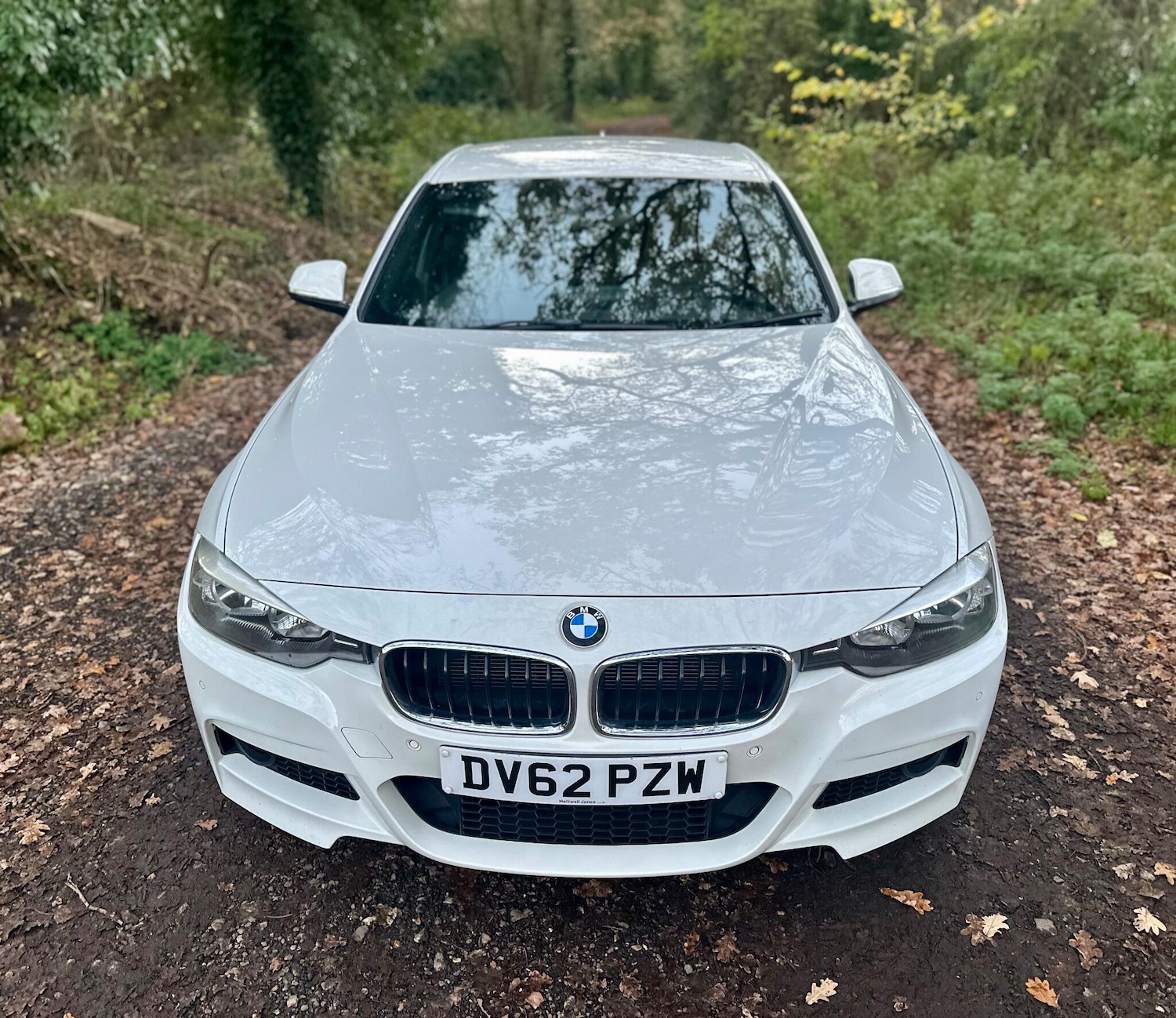 Used BMW 3 Series 2012 for sale - 76633661: Photo 3