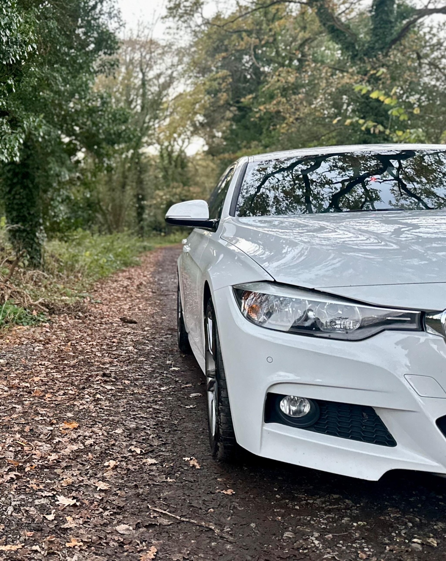 Used BMW 3 Series 2012 for sale - 76633661: Photo 4