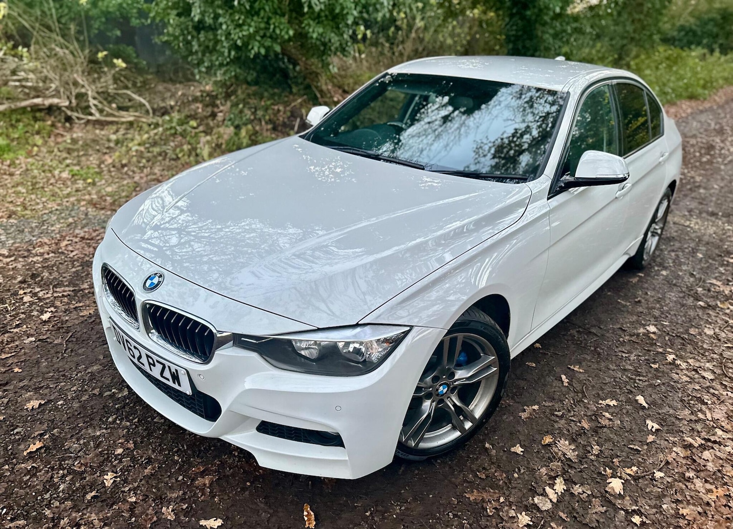 Used BMW 3 Series 2012 for sale - 76633661: Photo 6