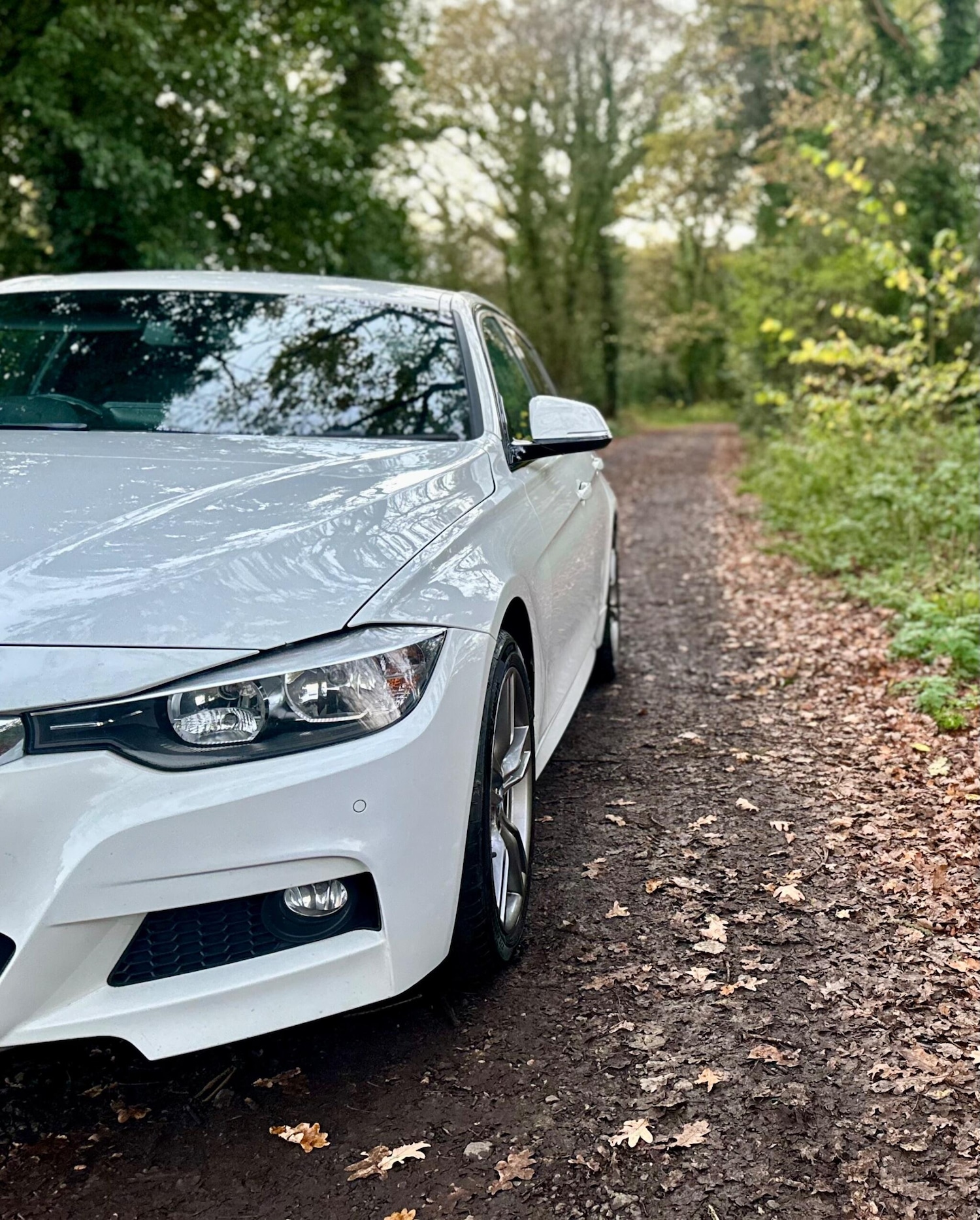 Used BMW 3 Series 2012 for sale - 76633661: Photo 8