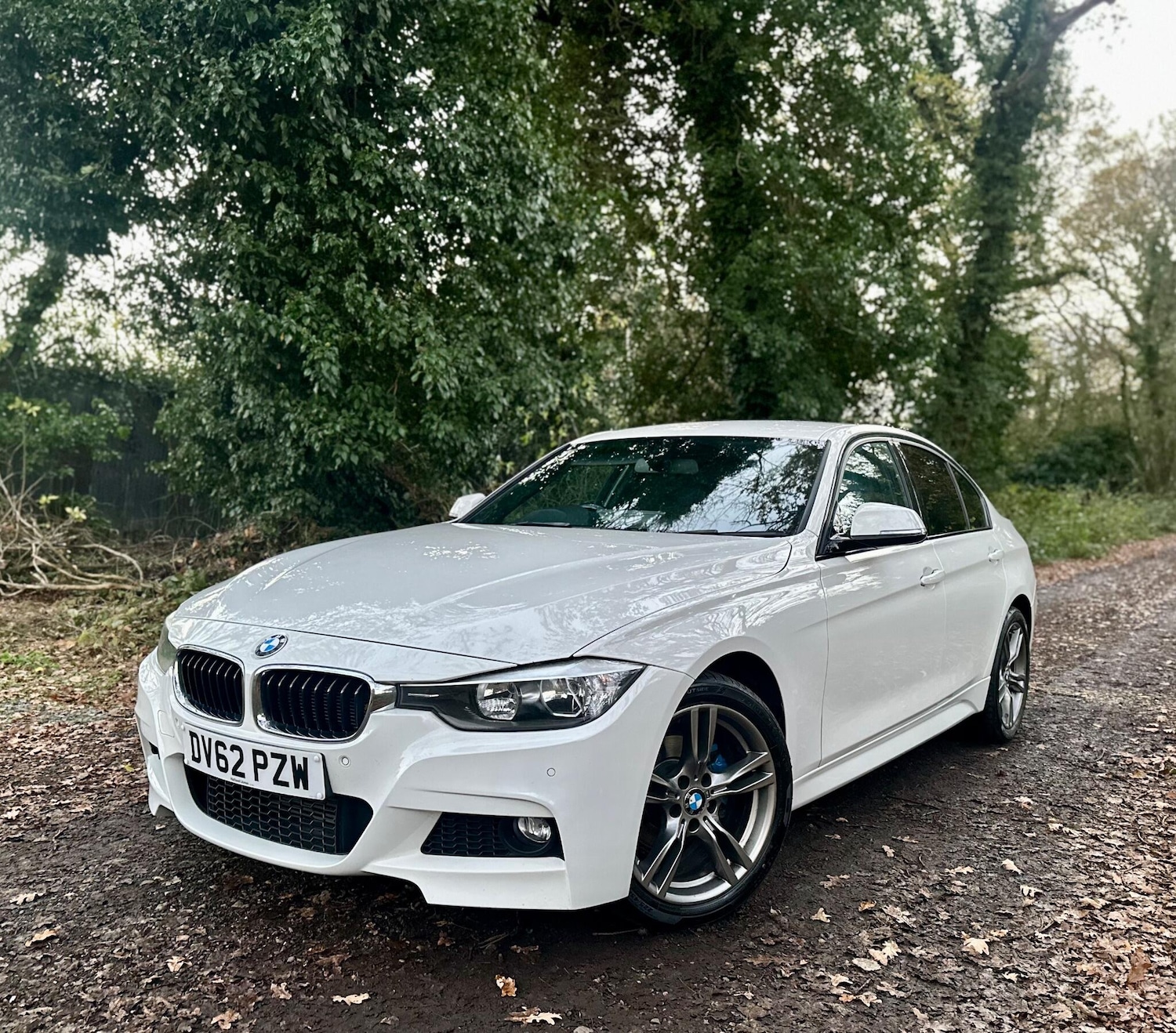 Used BMW 3 Series 2012 for sale - 76633661: Photo 9