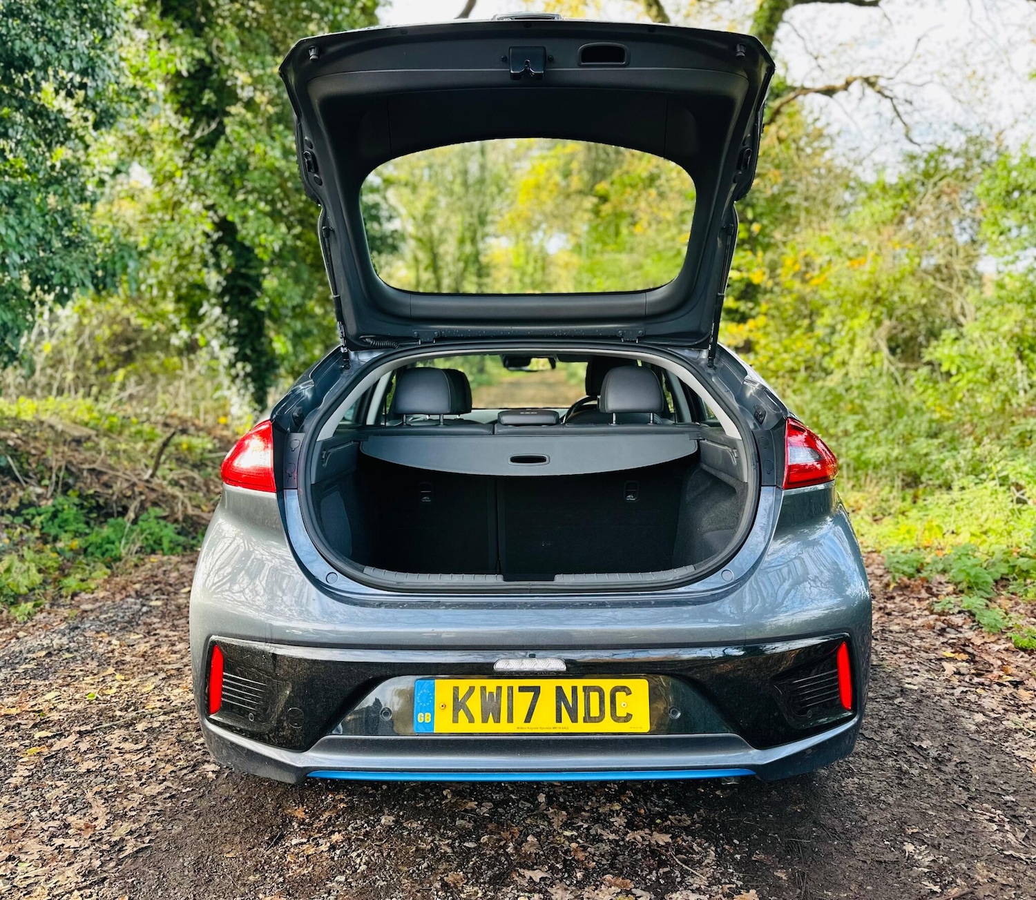 Used Hyundai IONIQ 2017 for sale - 76607039: Photo 21