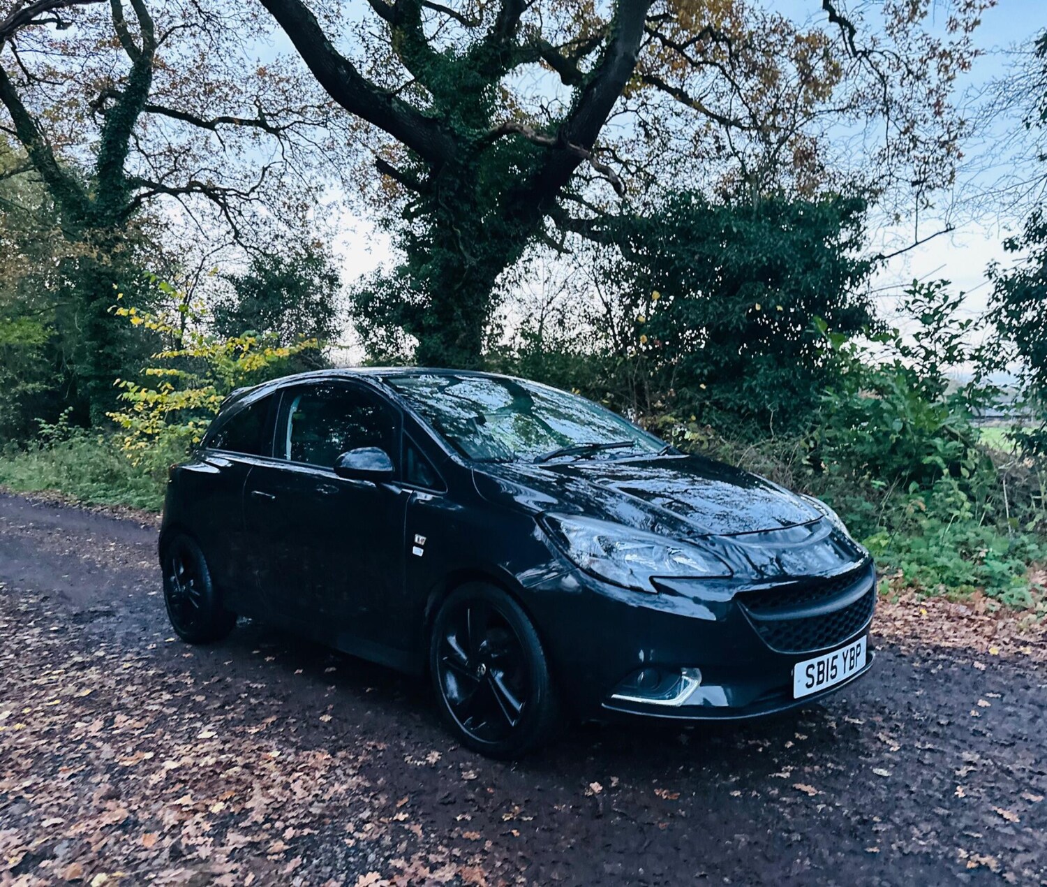 Used Vauxhall Corsa 2015 for sale - 76584256: Photo 3