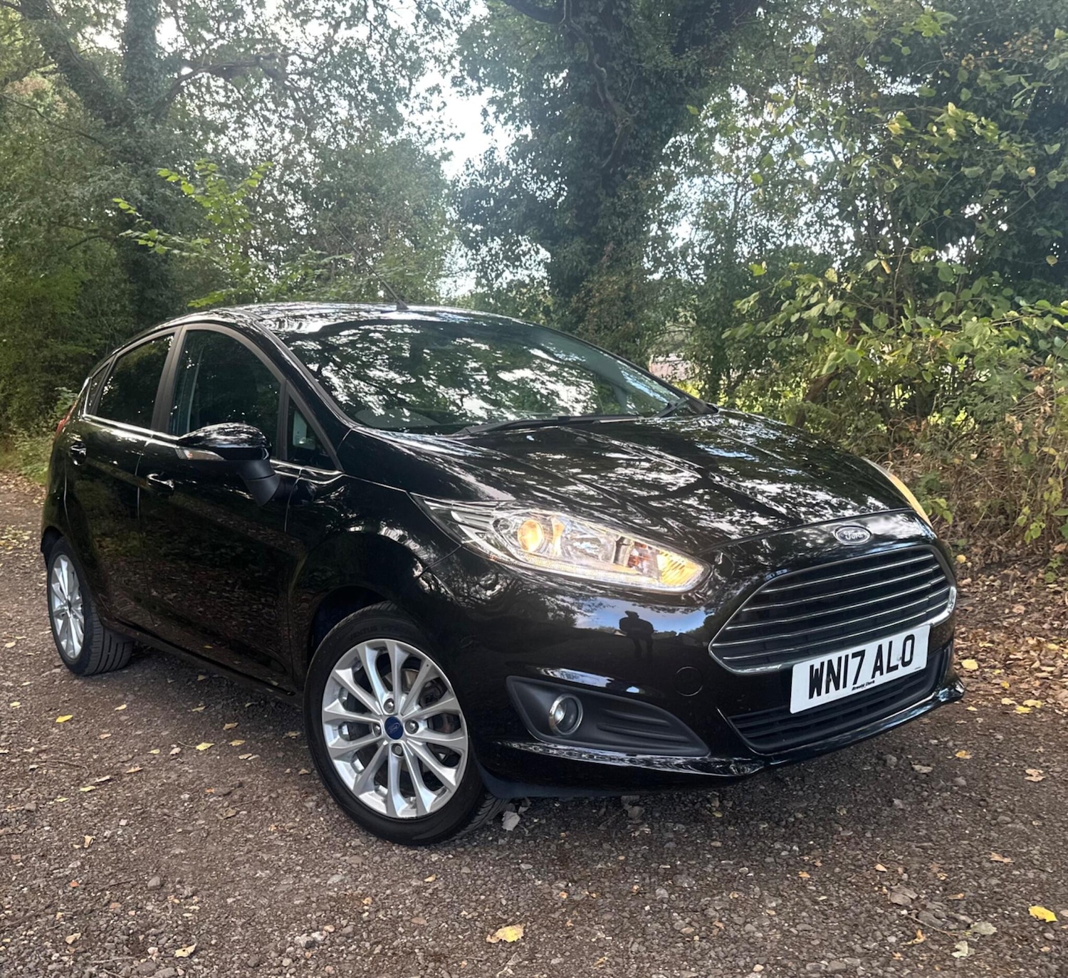 Used Ford Fiesta 2017 for sale - 76283573: Photo 1