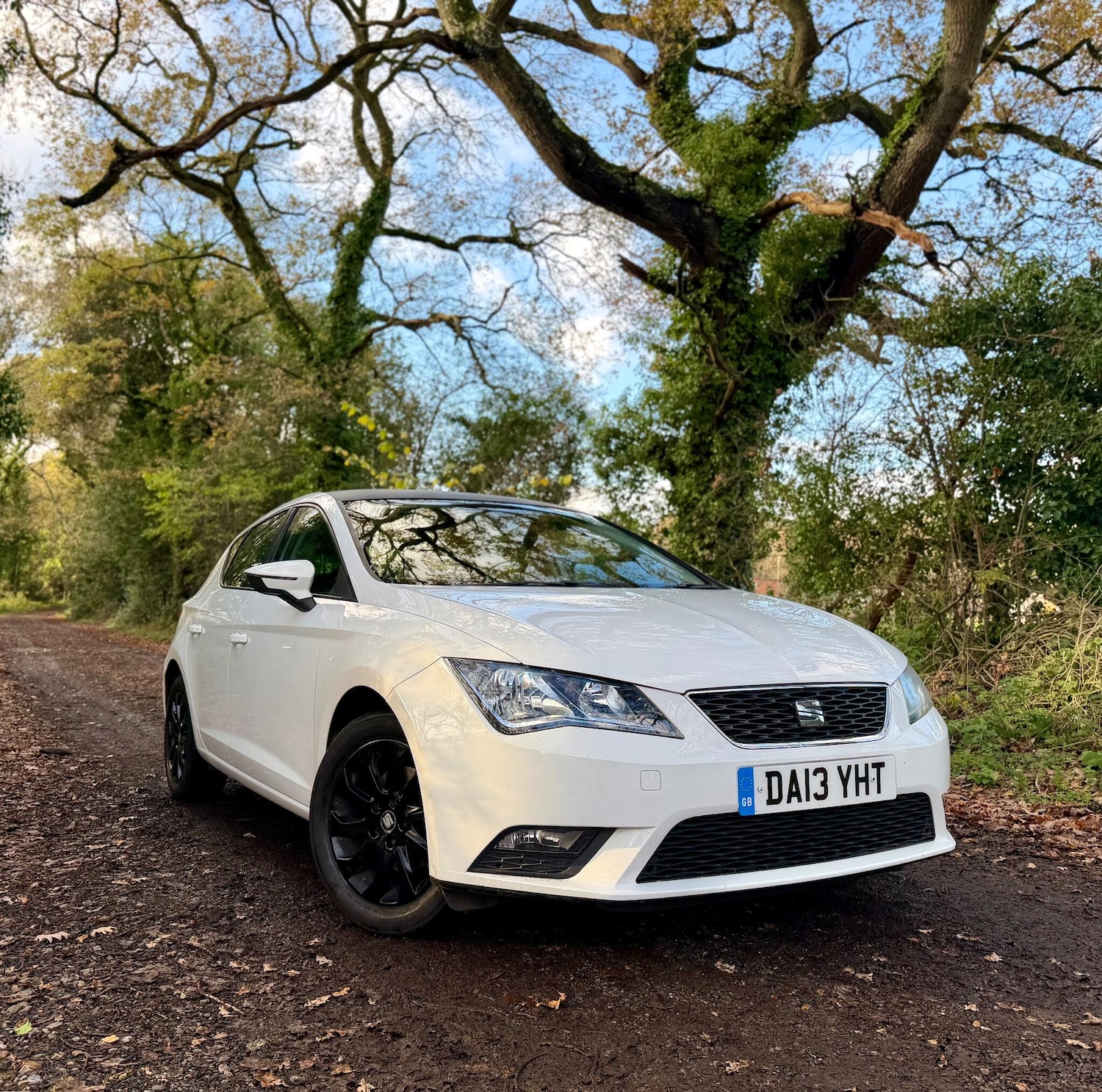 Used SEAT Leon 2013 for sale - 76671188: Photo 1