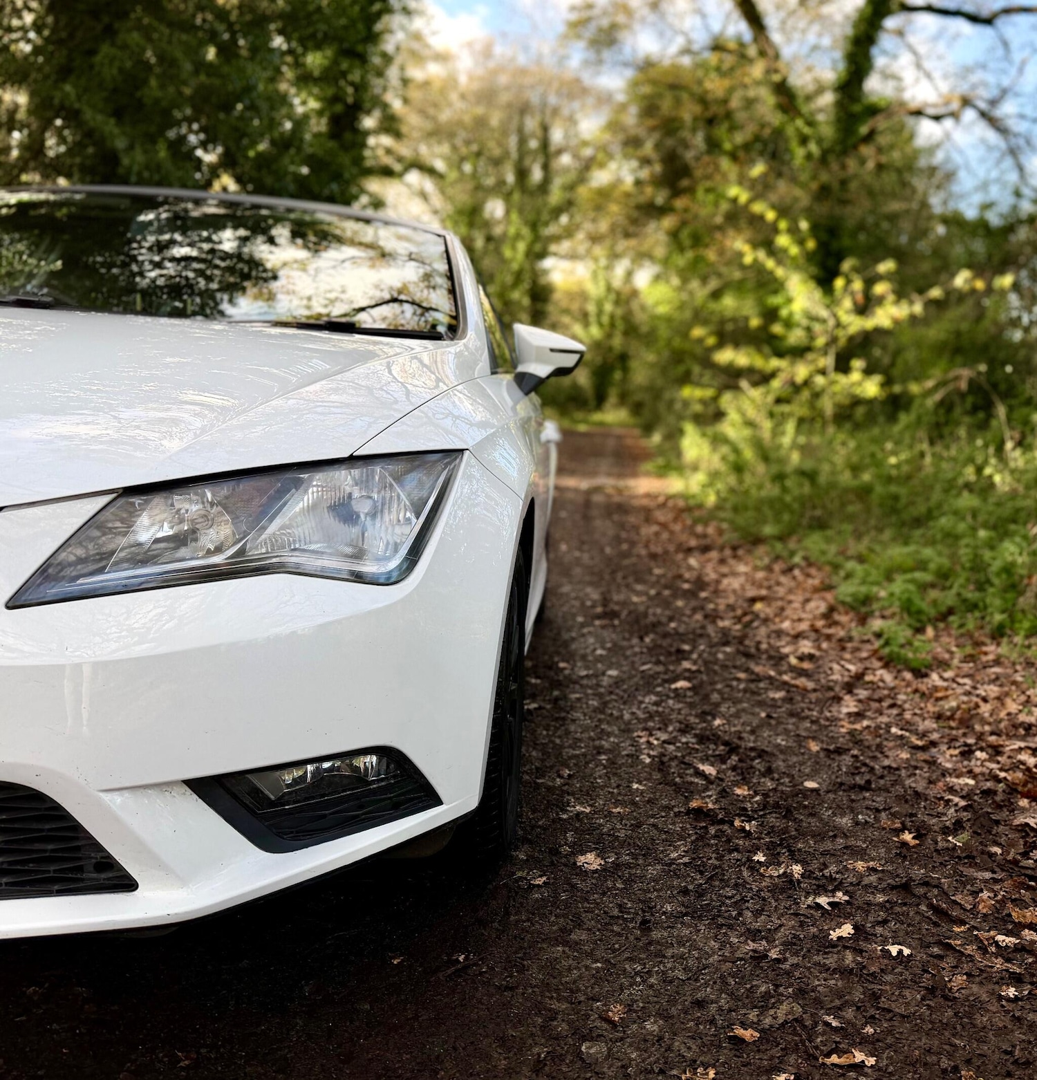 Used SEAT Leon 2013 for sale - 76671188: Photo 7