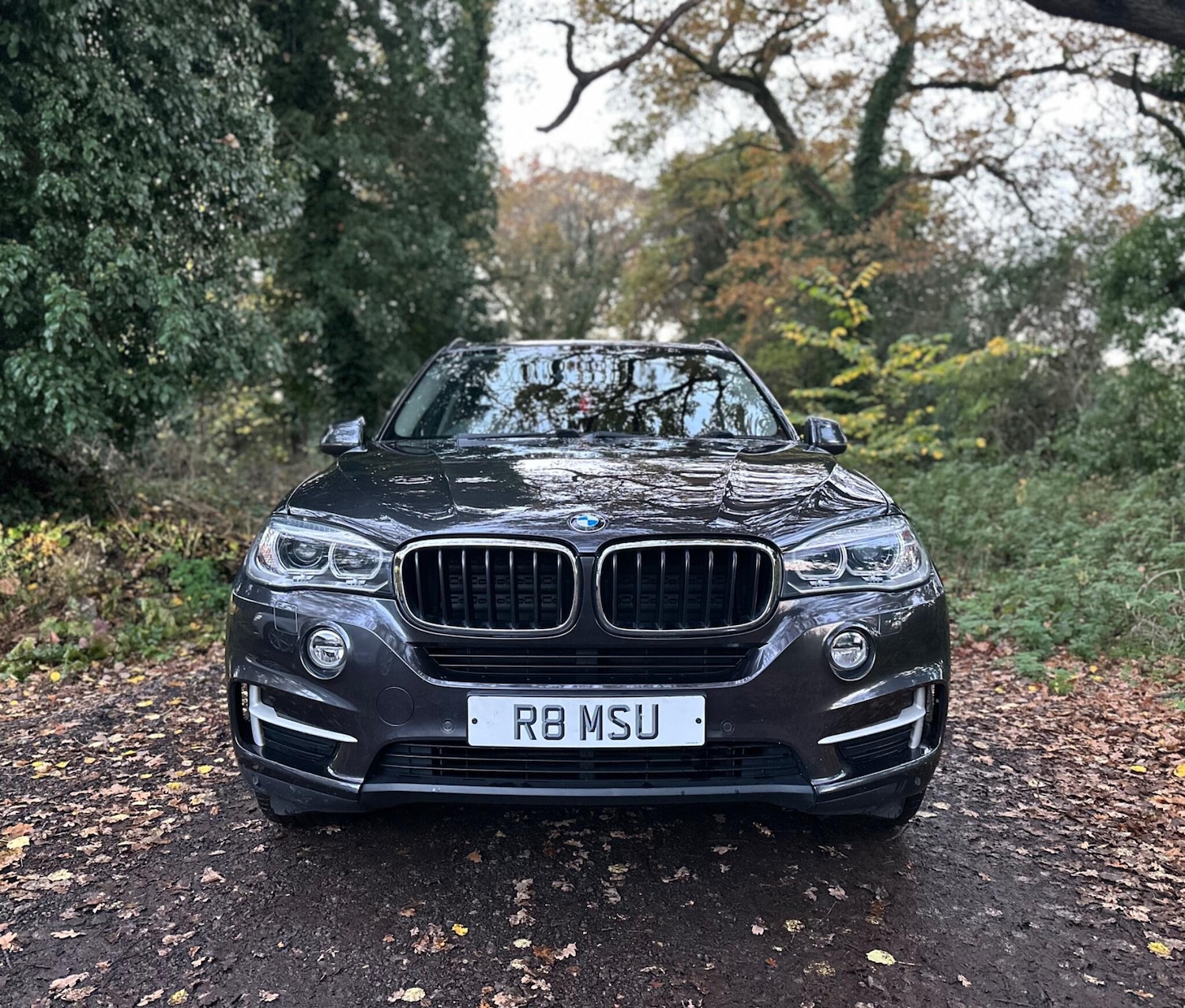 Used BMW X5 2015 for sale - 76538420: Photo 8