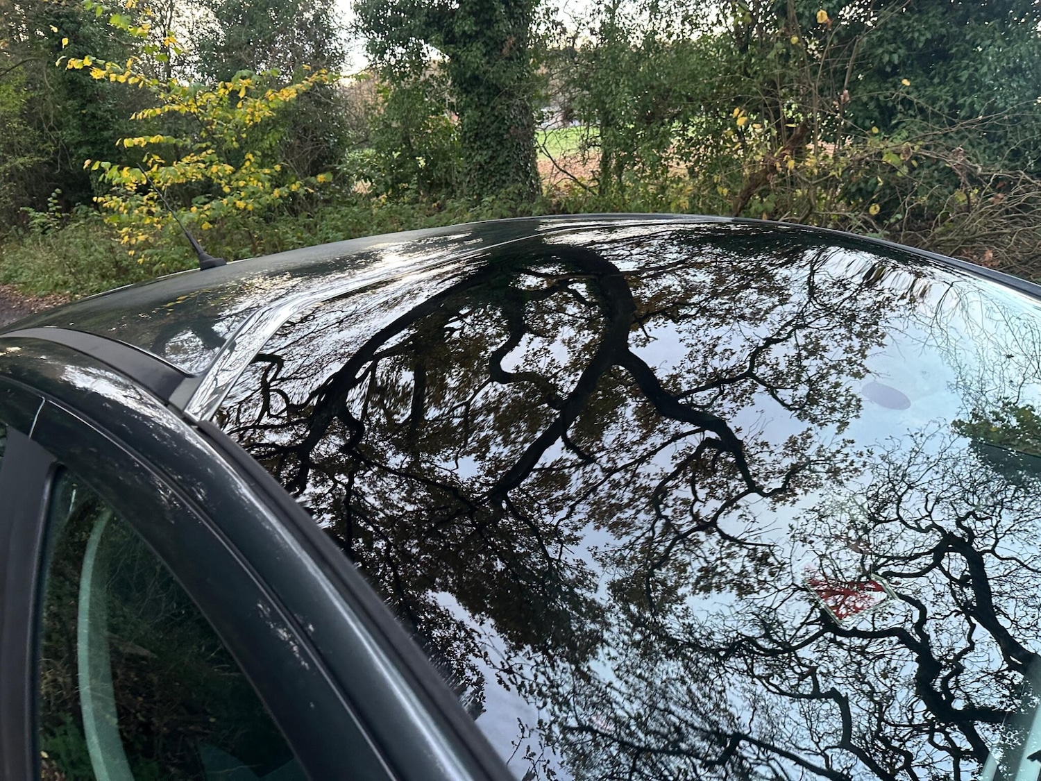 Used Citroen C3 2013 for sale - 76585528: Photo 17