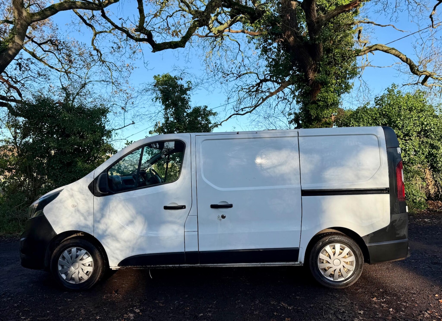 Used Vauxhall Vivaro 2015 for sale - 76825201: Photo 10