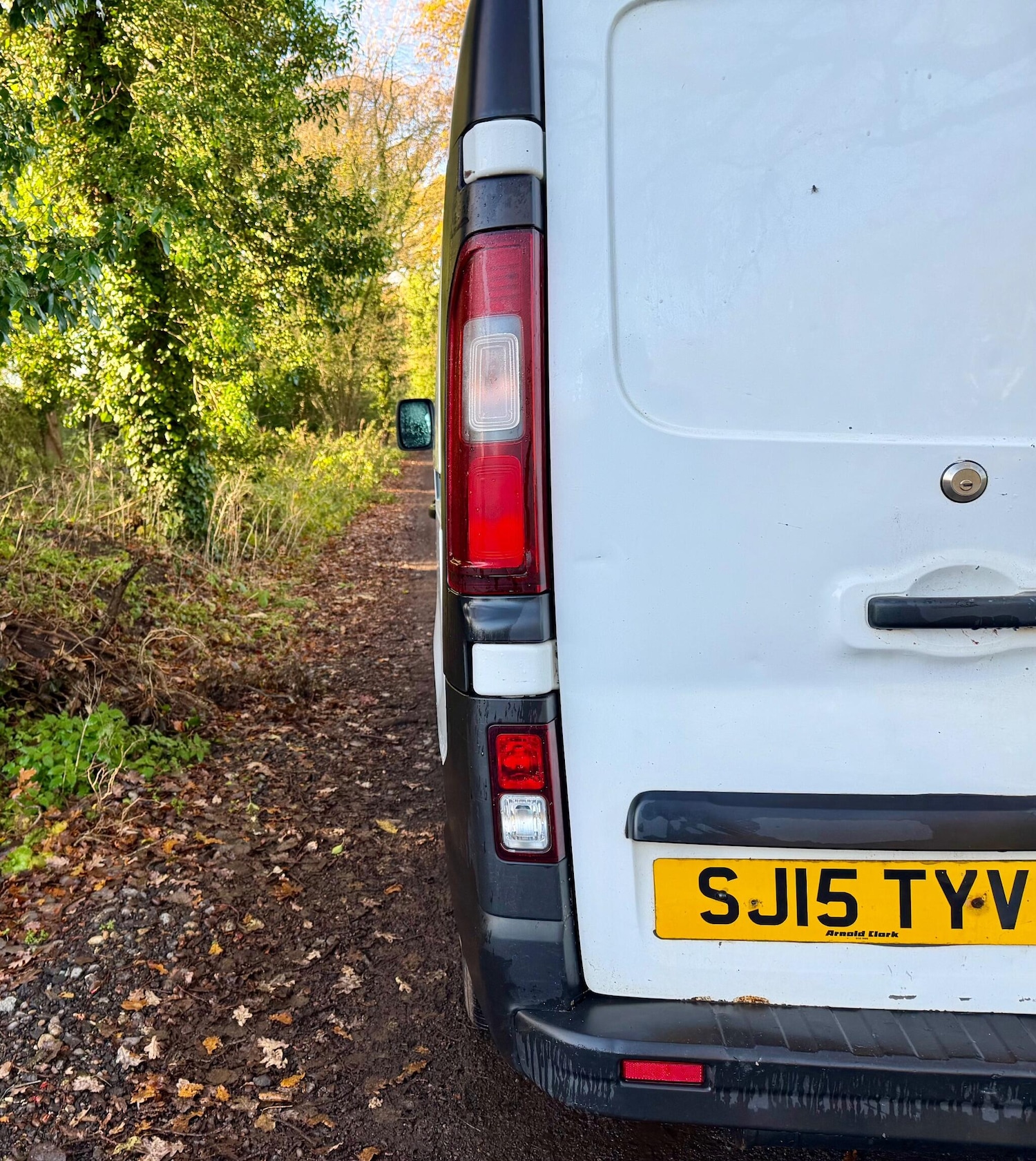 Used Vauxhall Vivaro 2015 for sale - 76825201: Photo 12