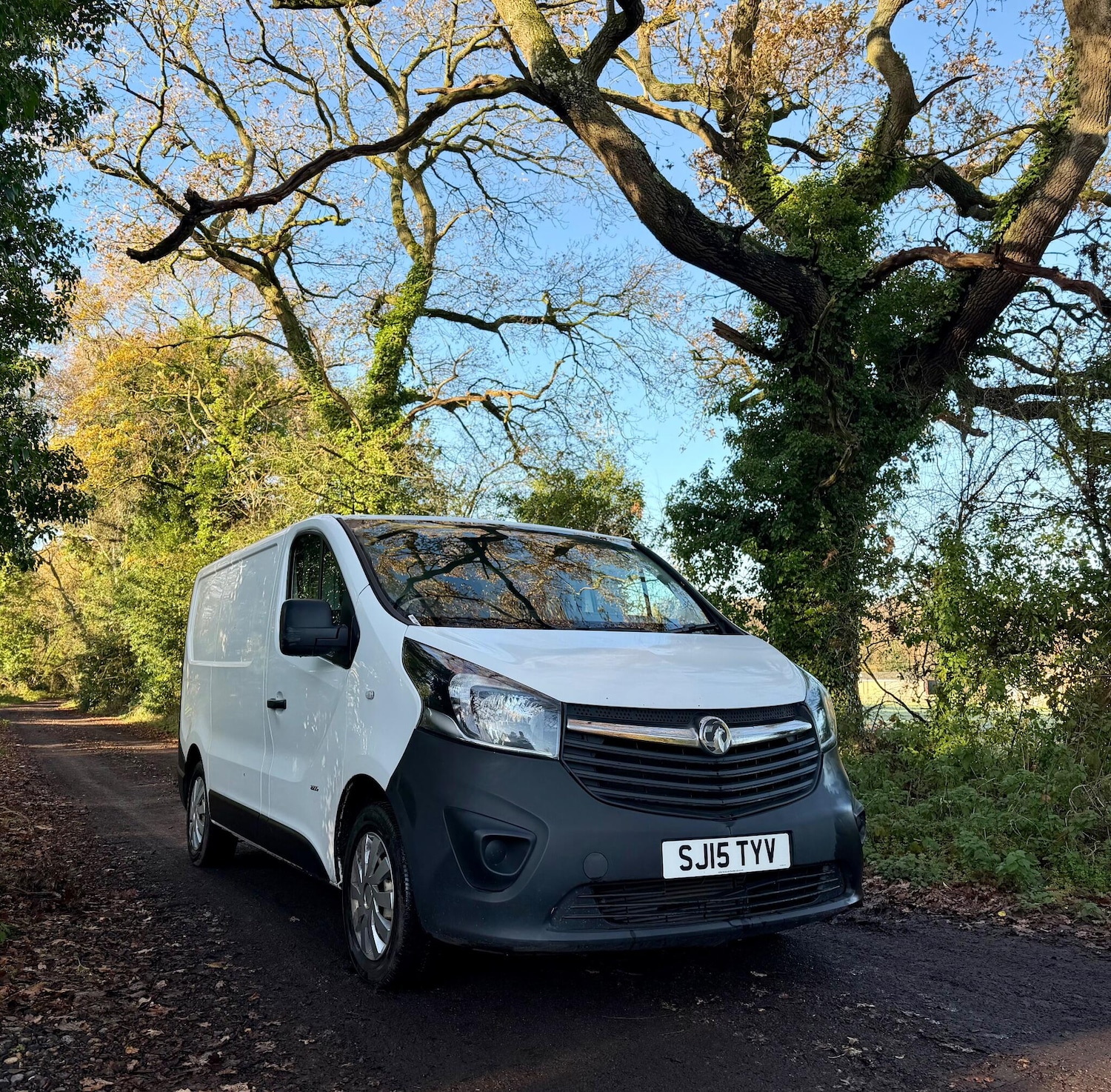 Used Vauxhall Vivaro 2015 for sale - 76825201: Photo 2