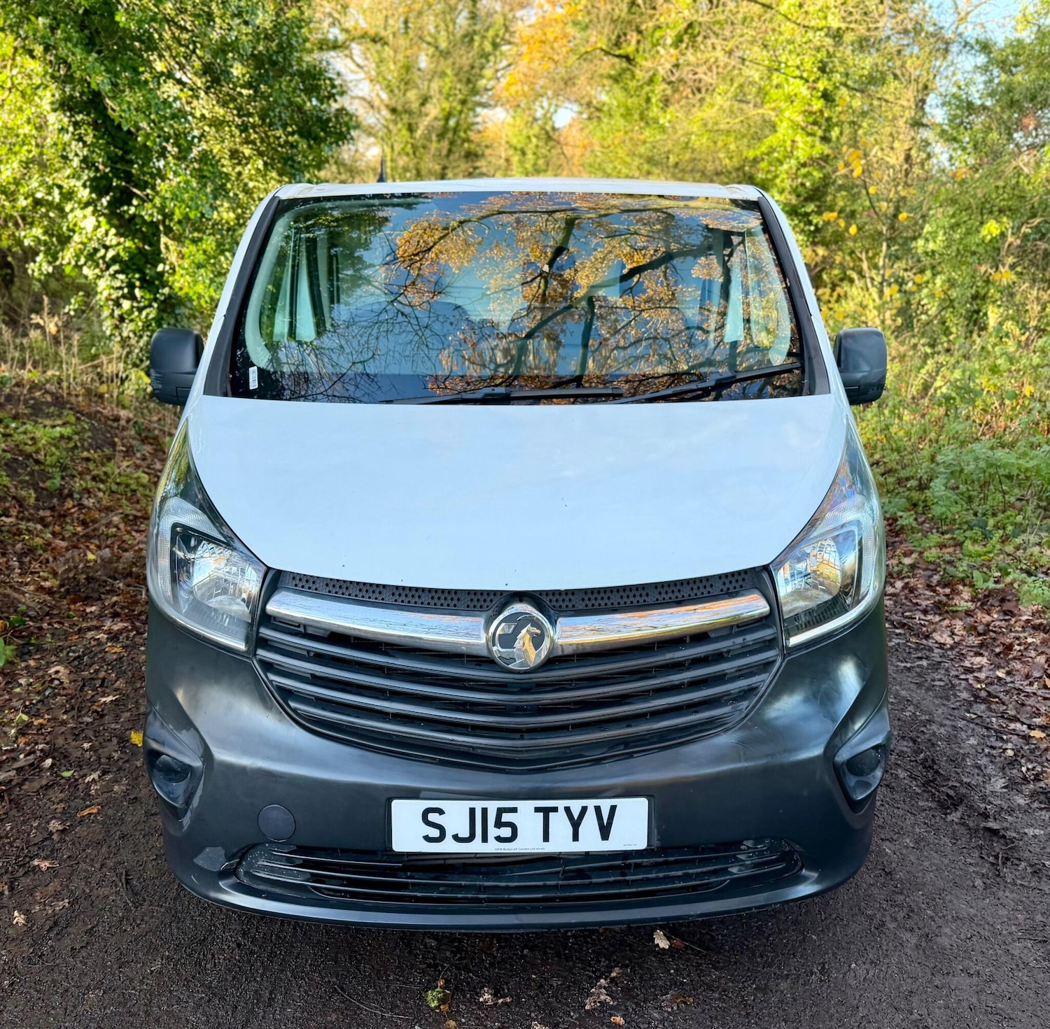 Used Vauxhall Vivaro 2015 for sale - 76825201: Photo 3