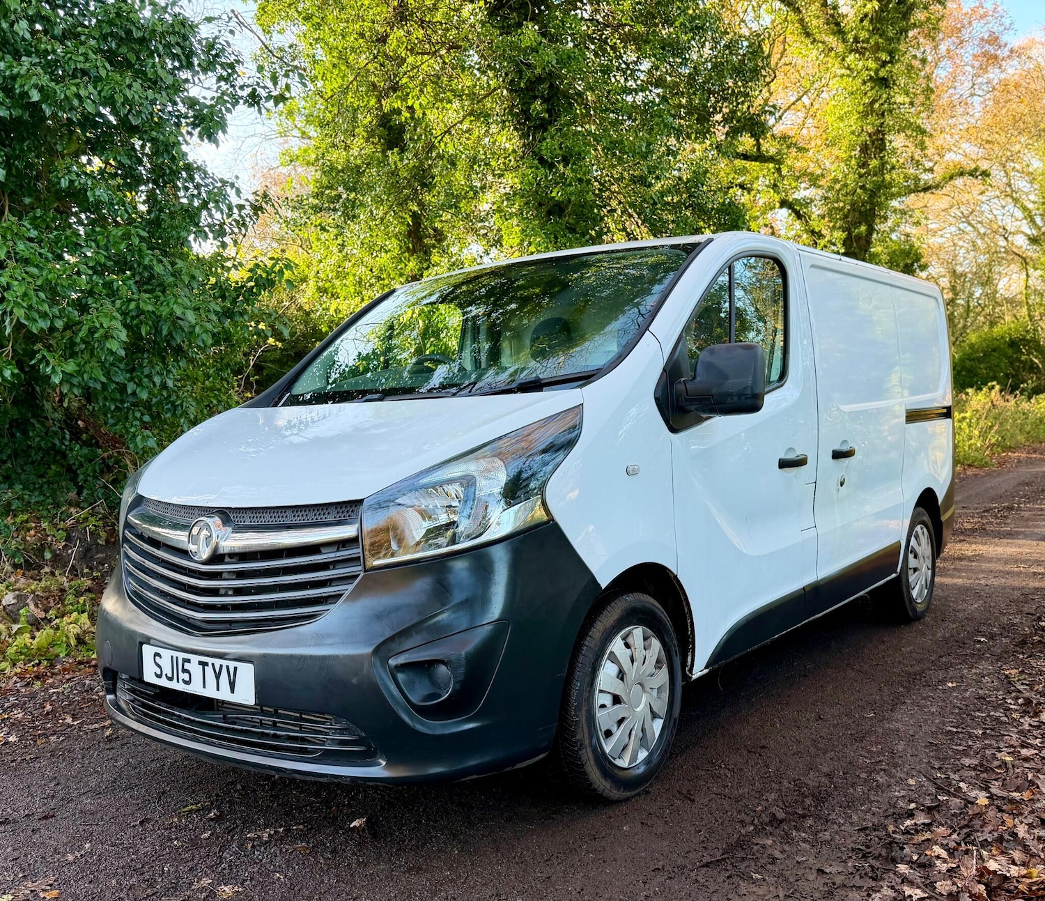Used Vauxhall Vivaro 2015 for sale - 76825201: Photo 5