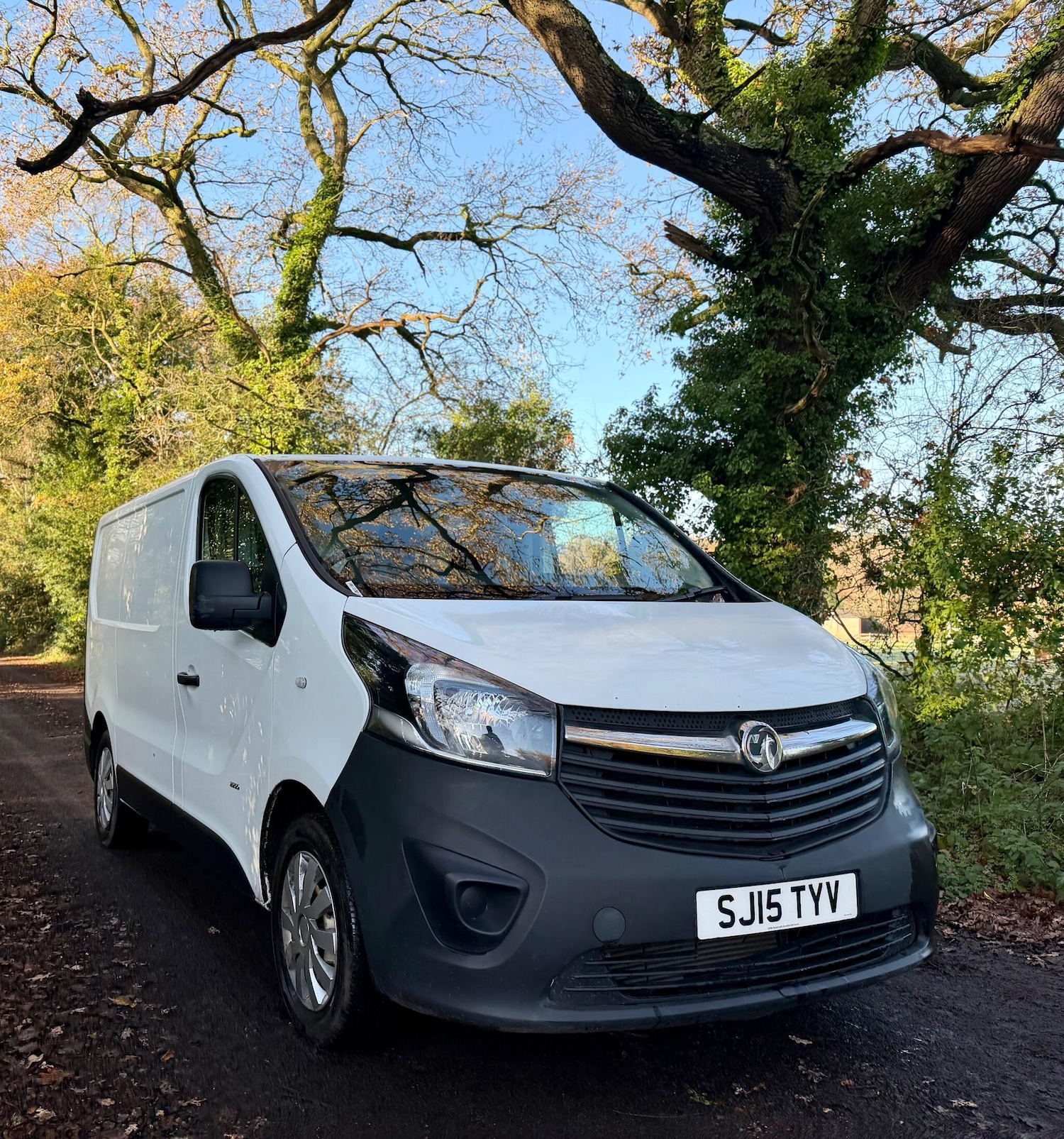 Used Vauxhall Vivaro 2015 for sale - 76825201: Photo 6