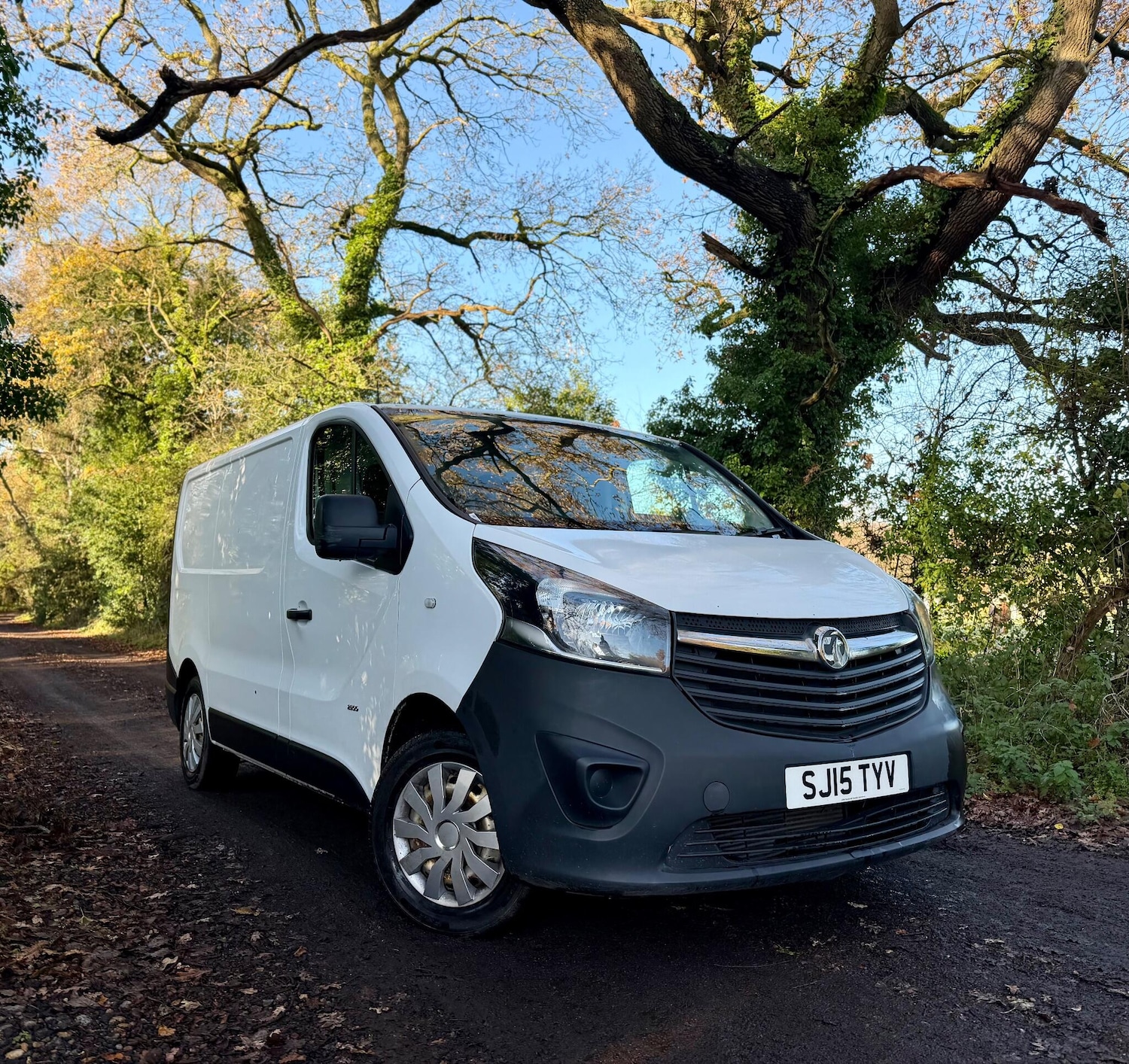 Used Vauxhall Vivaro 2015 for sale - 76825201: Photo 7