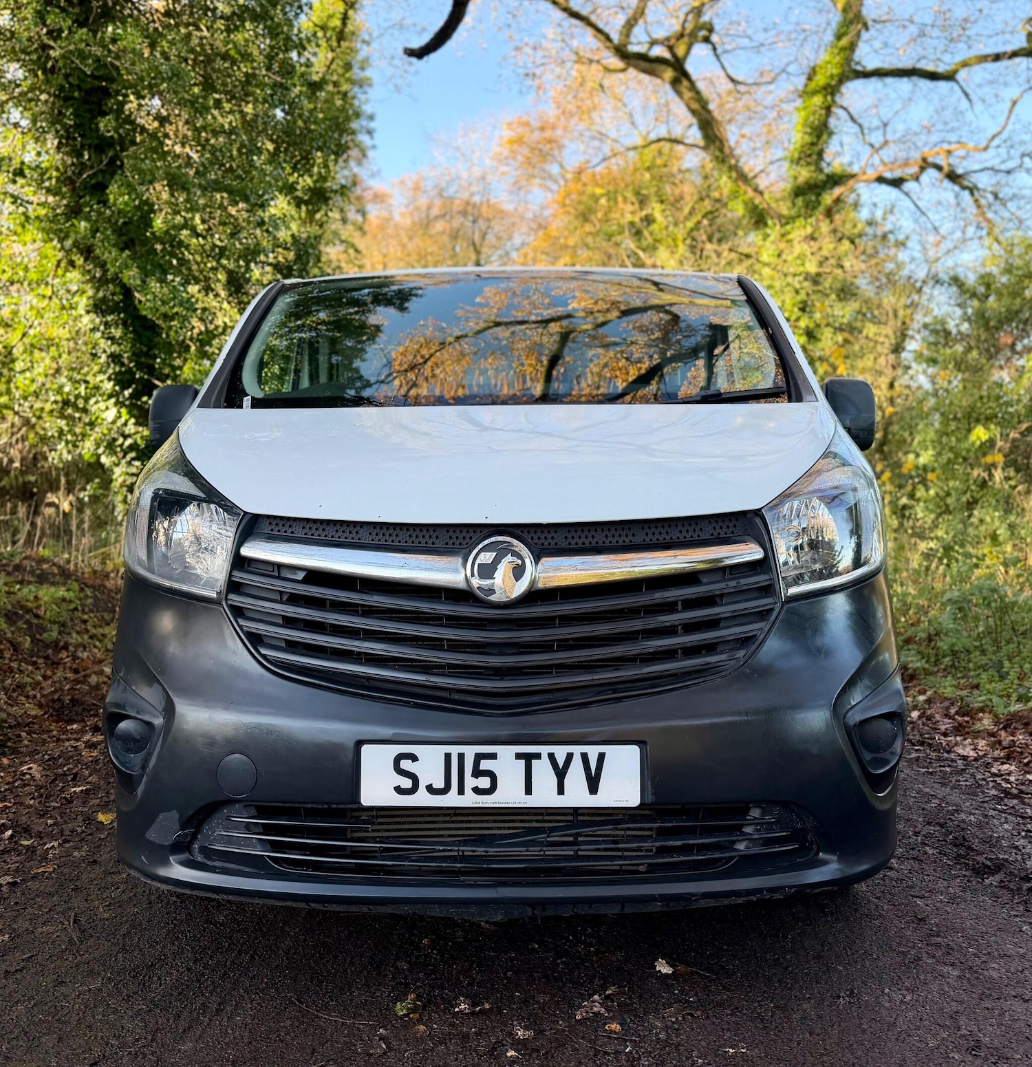 Used Vauxhall Vivaro 2015 for sale - 76825201: Photo 8