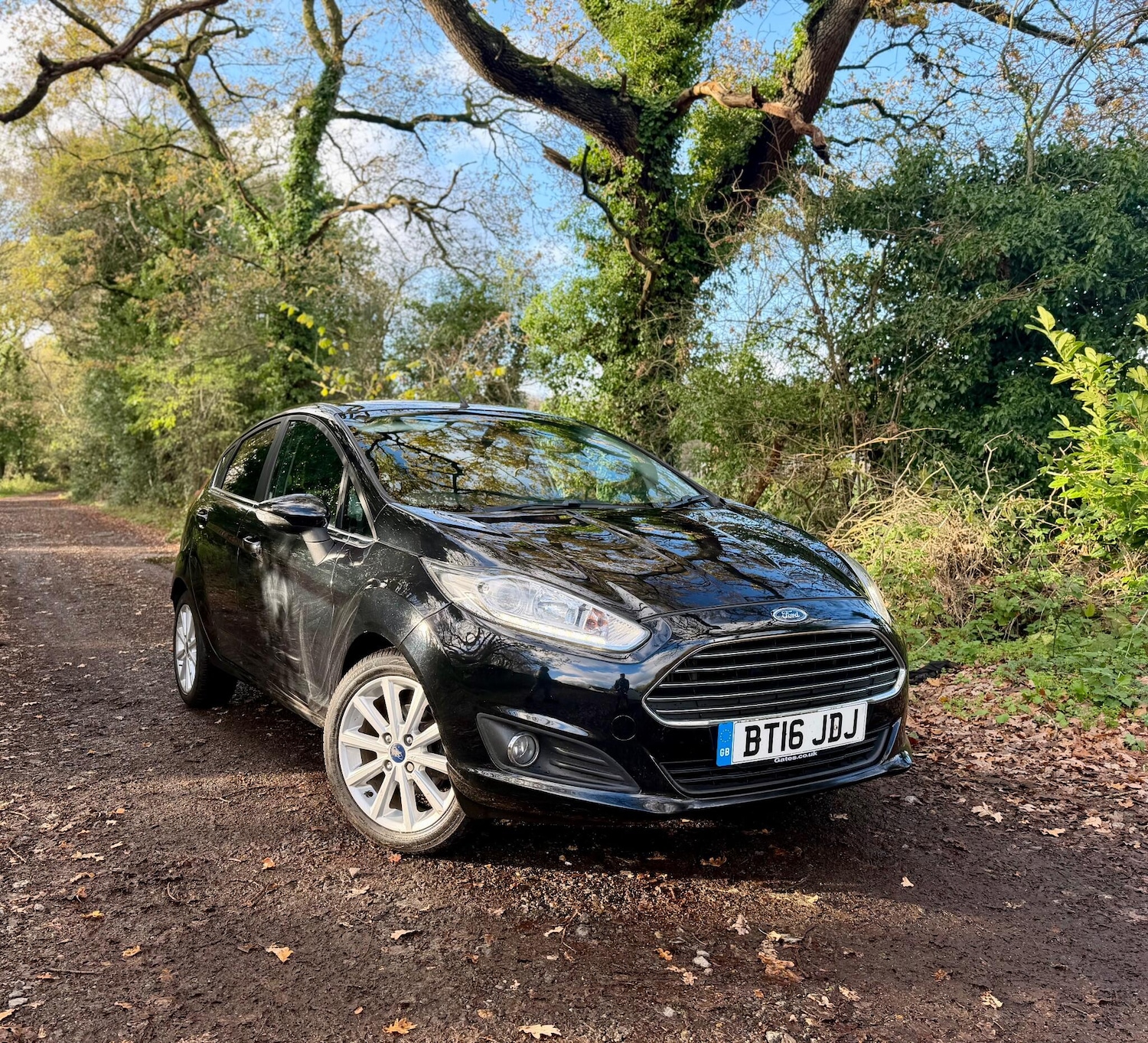 Used Ford Fiesta 2016 for sale - 76671167: Photo 1
