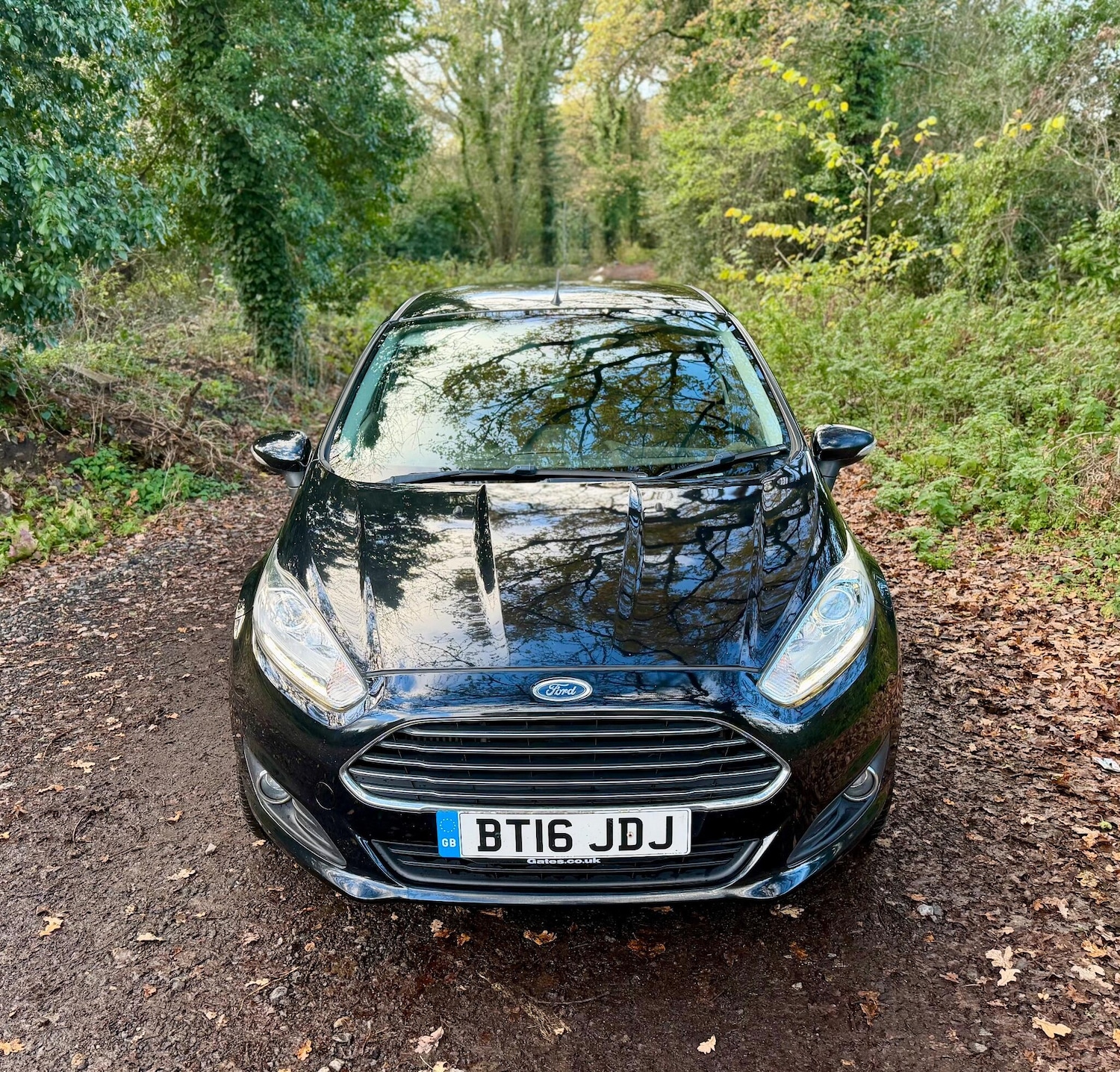 Used Ford Fiesta 2016 for sale - 76671167: Photo 10