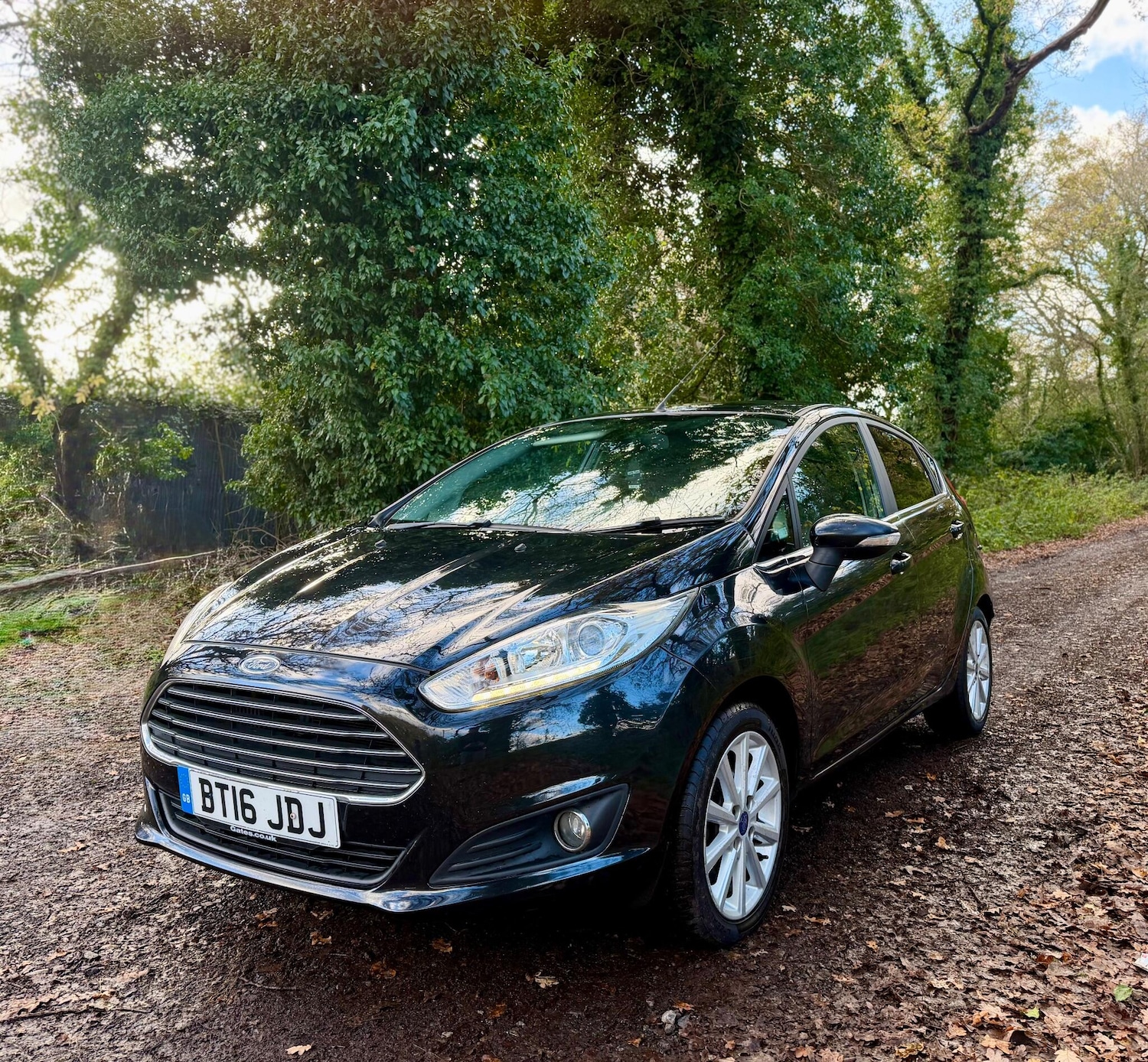 Used Ford Fiesta 2016 for sale - 76671167: Photo 11