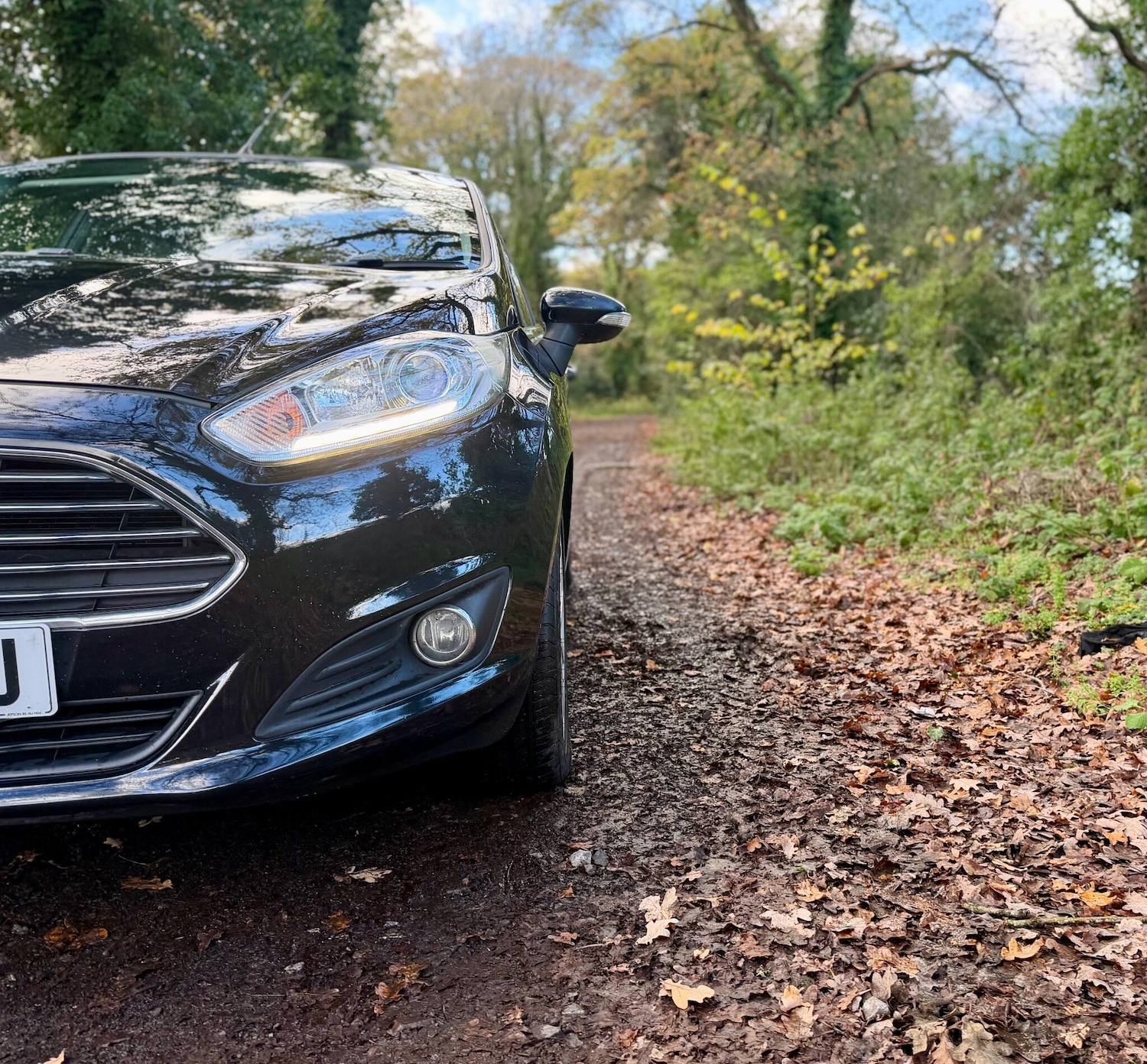 Used Ford Fiesta 2016 for sale - 76671167: Photo 12