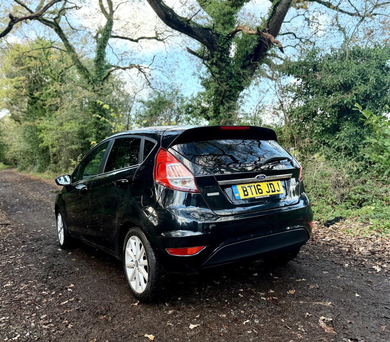 Used Ford Fiesta 2016 for sale - 76671167: Photo 13